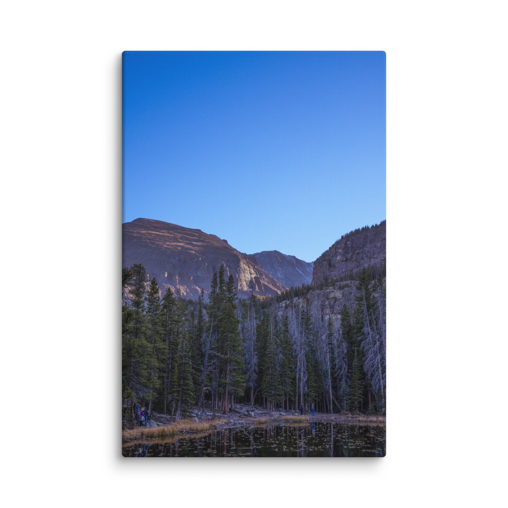 canvas-(in)-26x40-wall-6786df53b55f8.jpg
