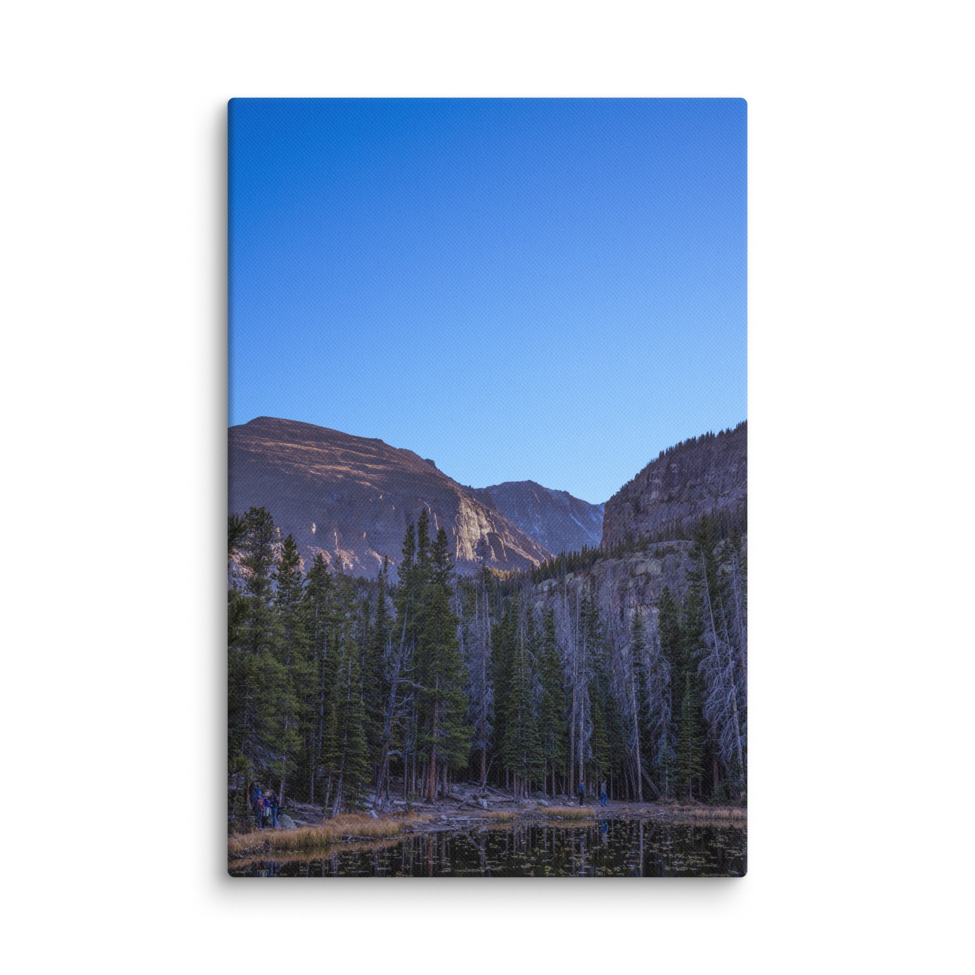 canvas-(in)-8x12-wall-6786df53b59cd.jpg