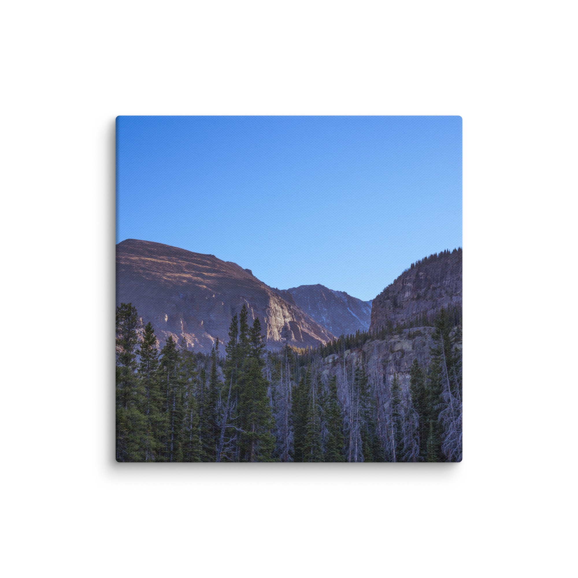 canvas-(in)-12x12-wall-6786df53b5aa0.jpg