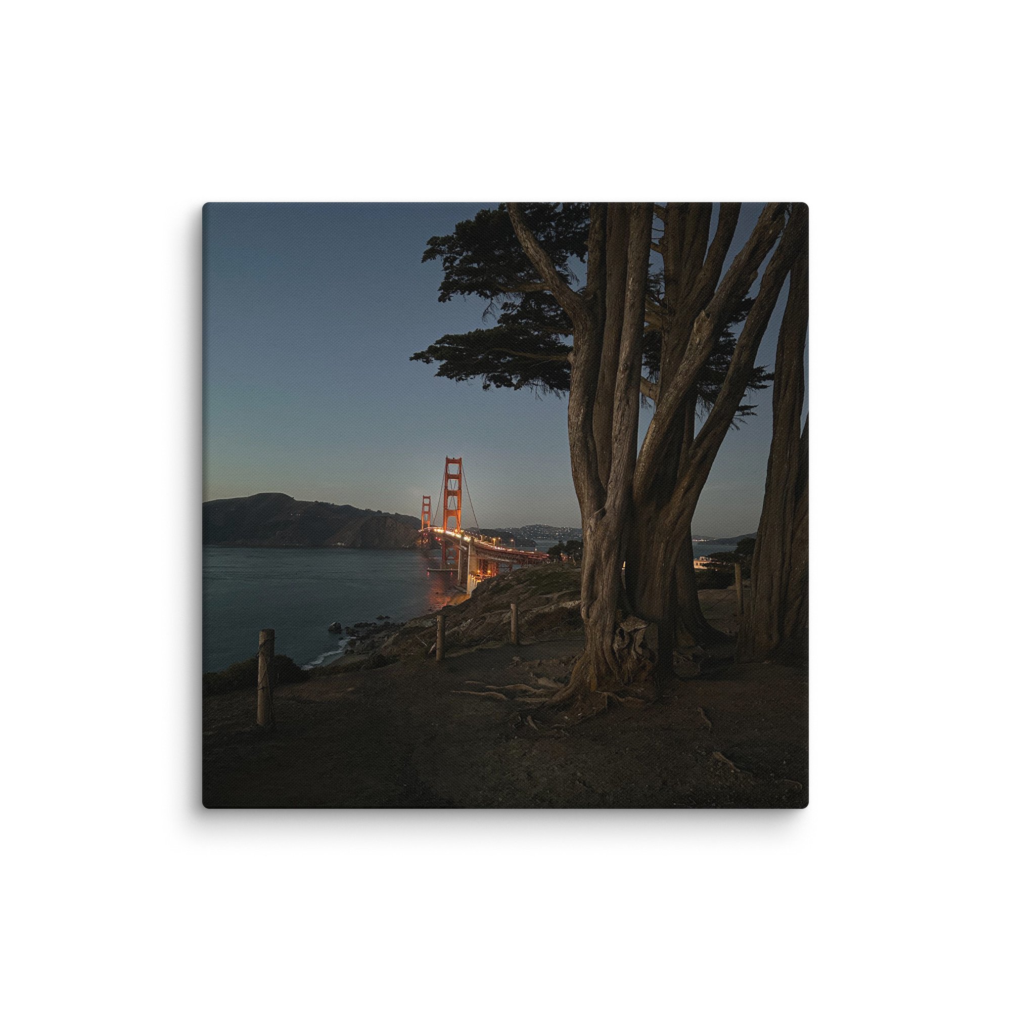 canvas-(in)-24x24-wall-6787e94b8e00c.jpg