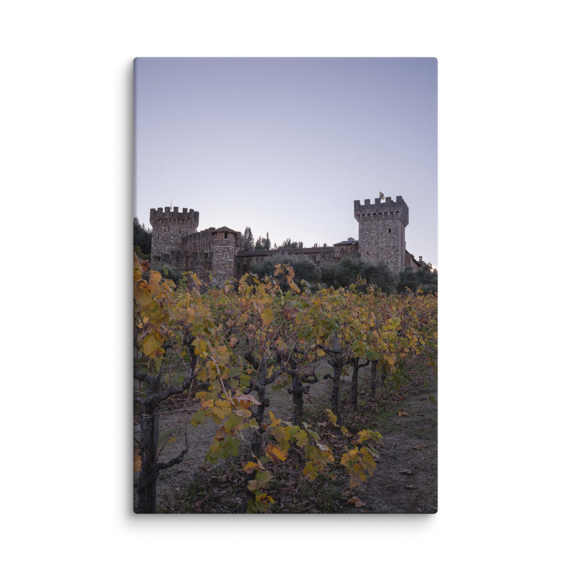 canvas-(in)-16x24-wall-678816a5e4e79.jpg