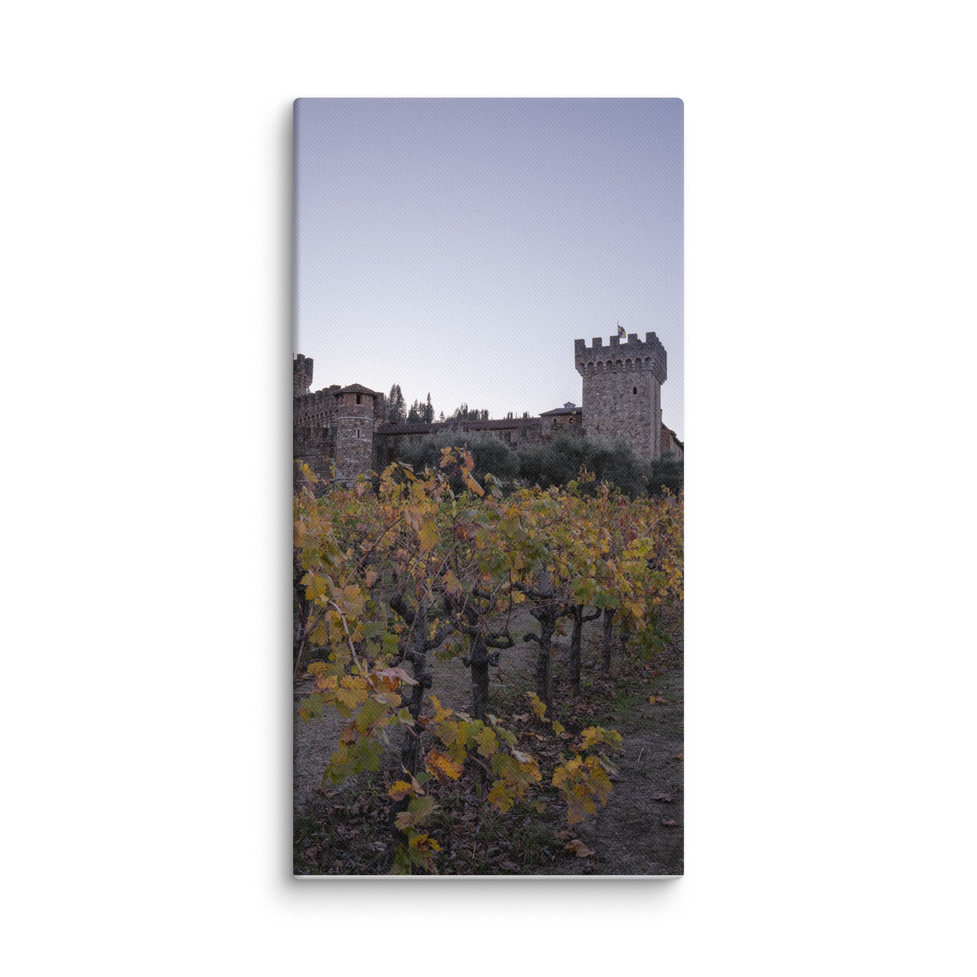 canvas-(in)-10x20-wall-678816a5e5867.jpg
