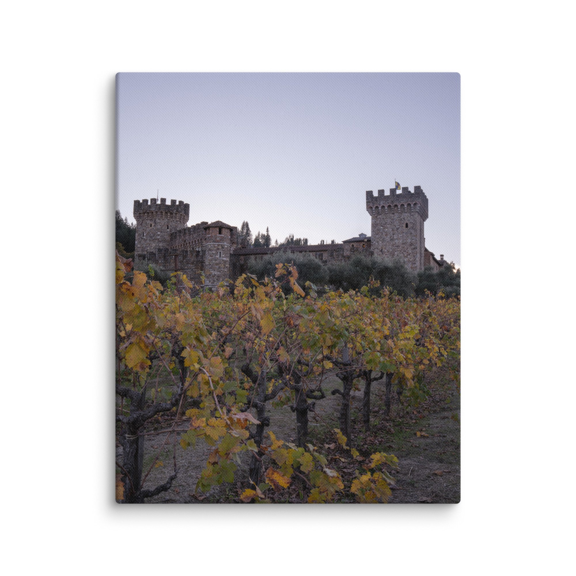 canvas-(in)-8x10-wall-678816a5e60e2.jpg