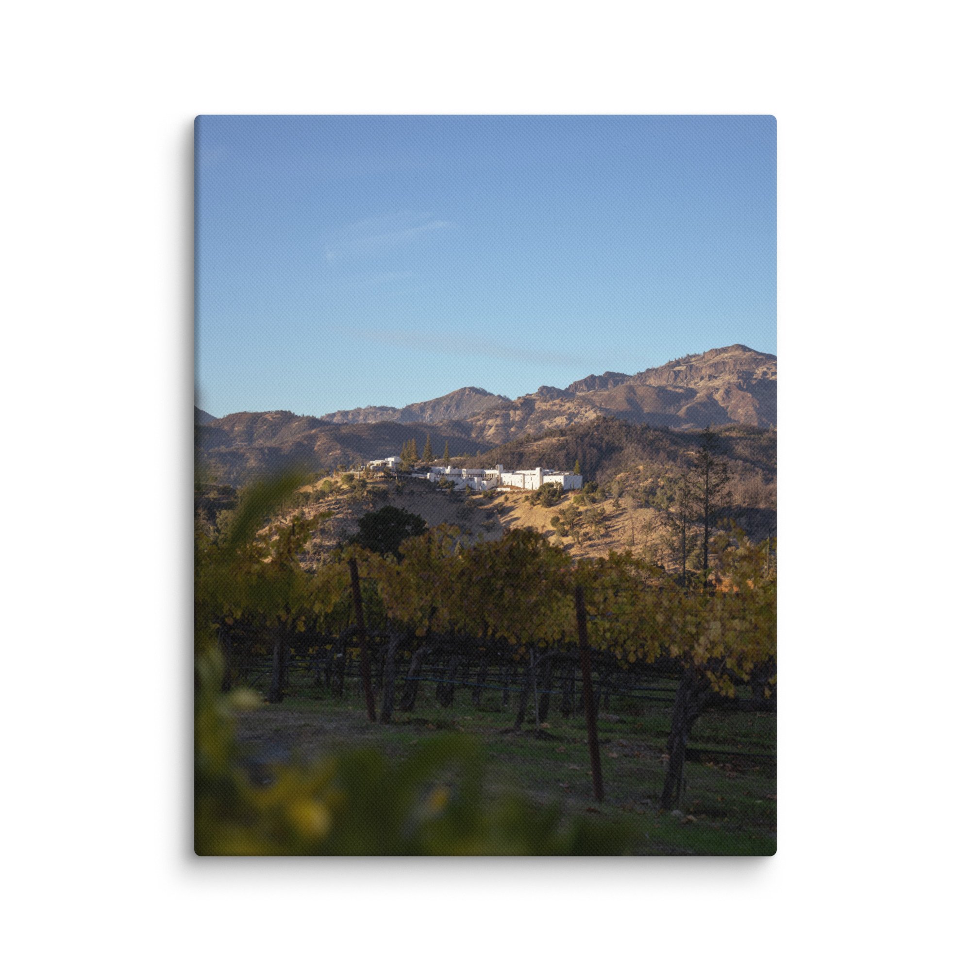 canvas-(in)-11x14-wall-678819769b3de.jpg