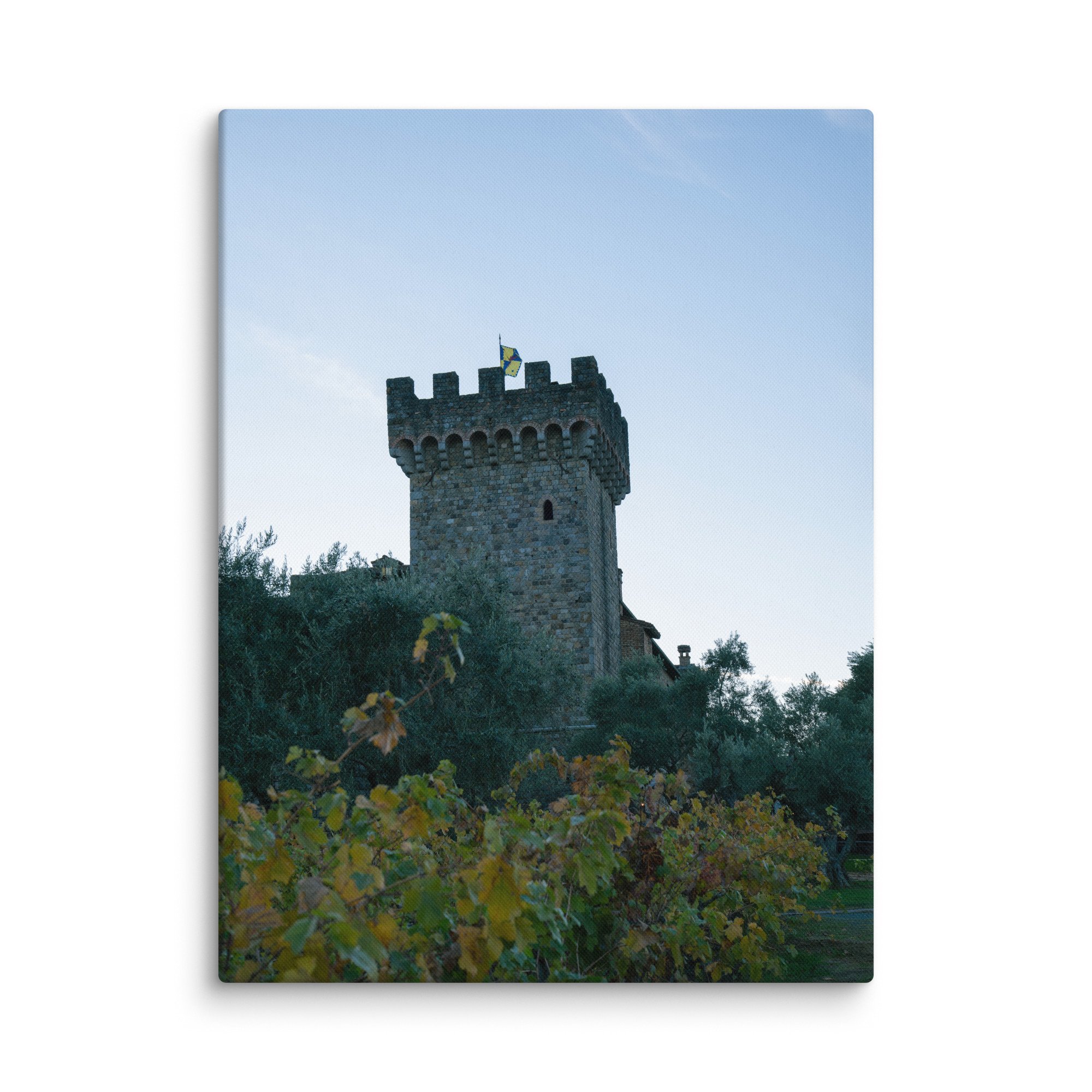 canvas-(in)-18x24-wall-67881ac03a7d7.jpg
