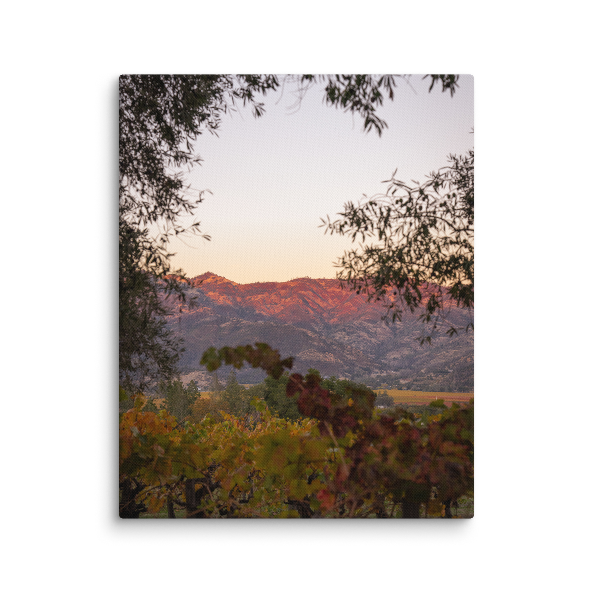 canvas-(in)-8x10-wall-67883a9e7889e.png
