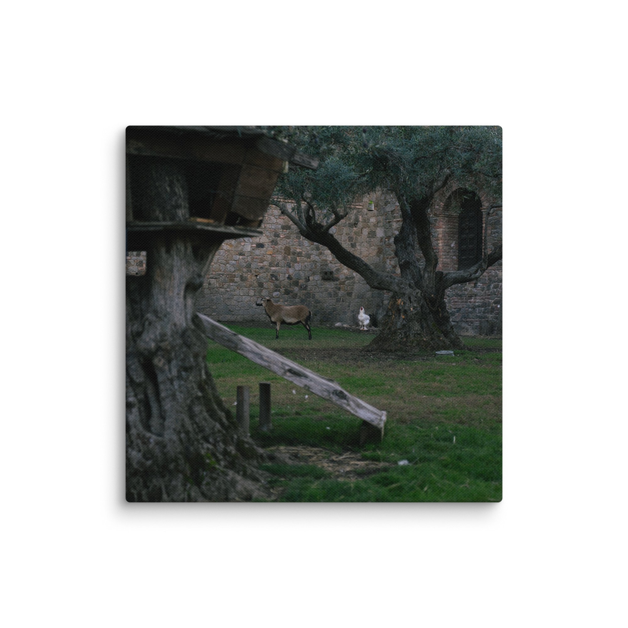 canvas-(in)-10x10-wall-67894009c31d7.jpg
