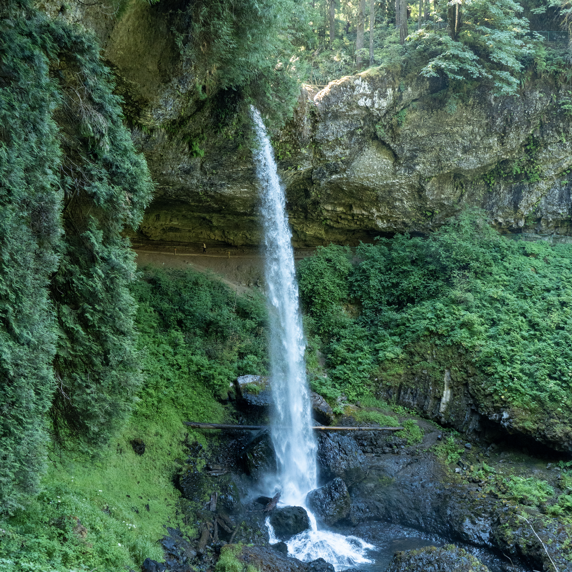 Screenshot 2024-09-17 at 6.29.32 PM.png