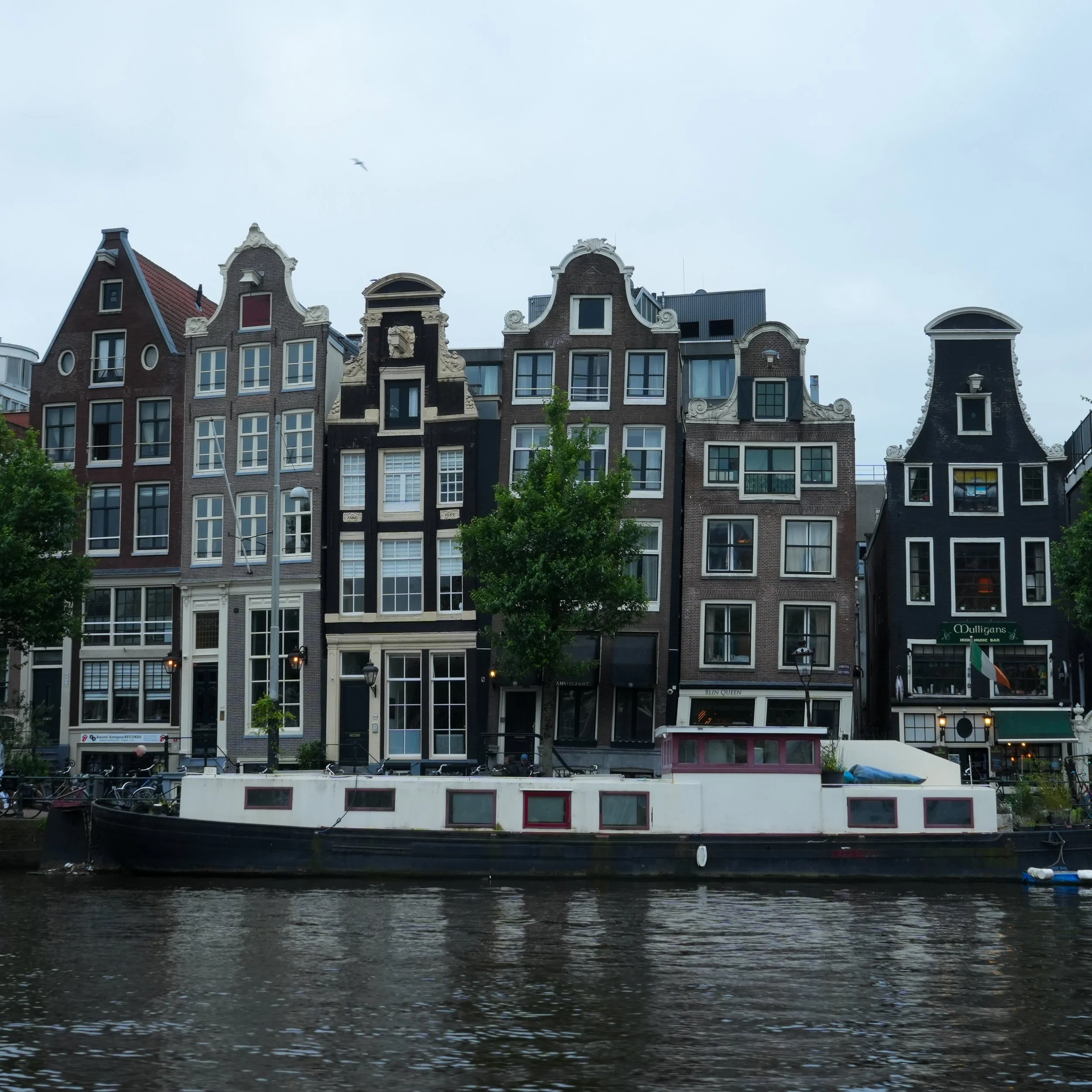 White Flowers 05.13.24-51.jpg