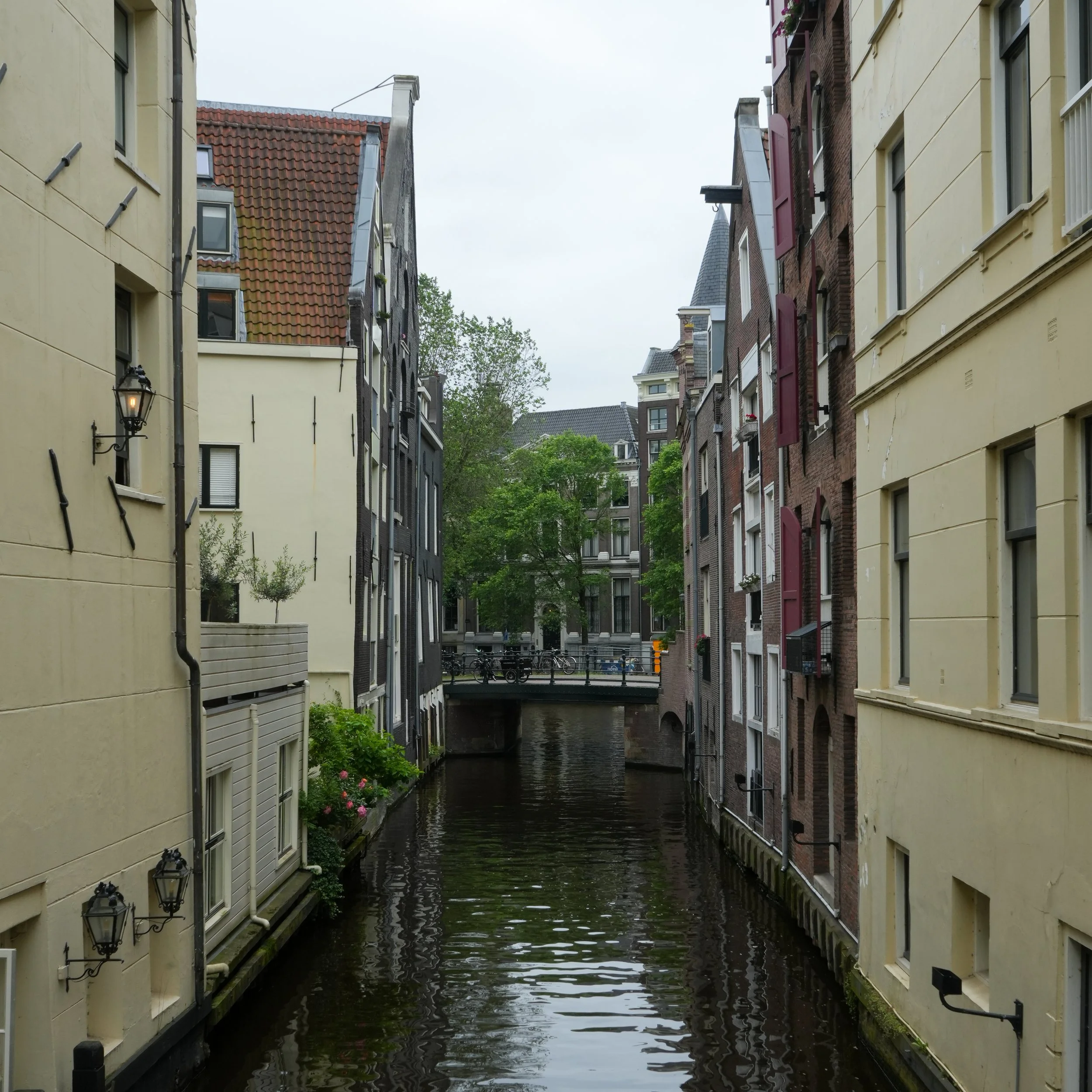 White Flowers 05.13.24-46.jpg