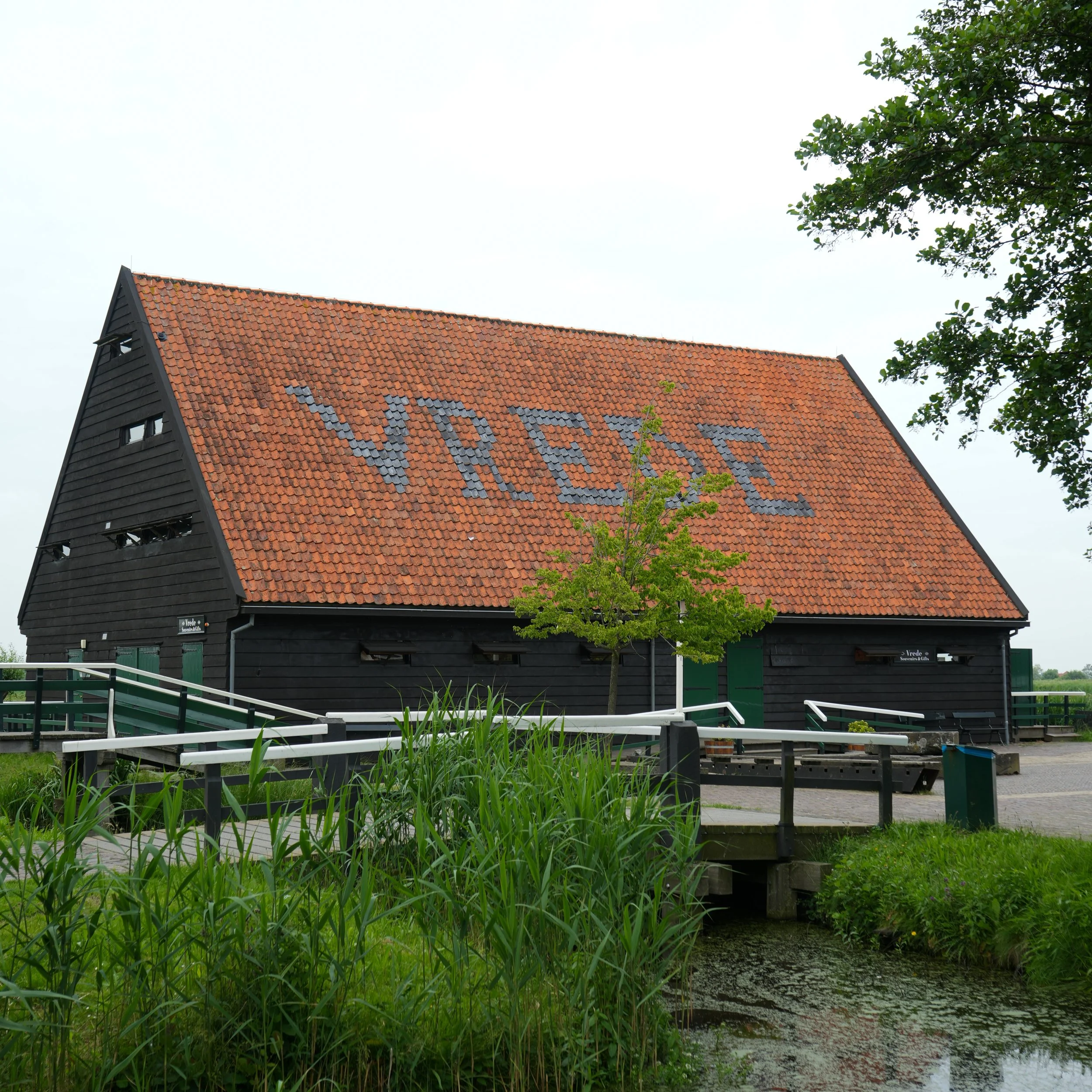 White Flowers 05.13.24-29.jpg