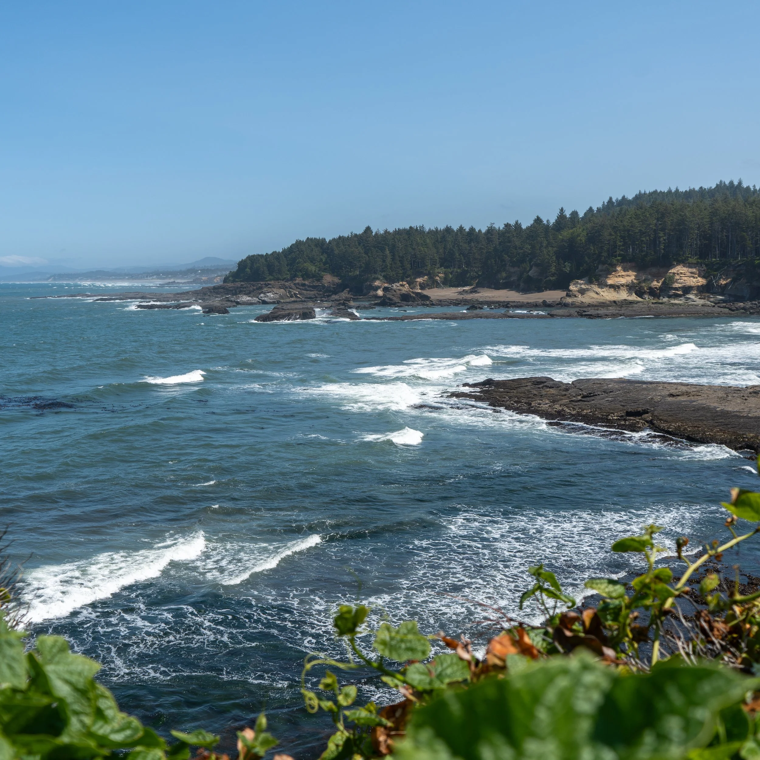 Oregon Coast-6.jpg