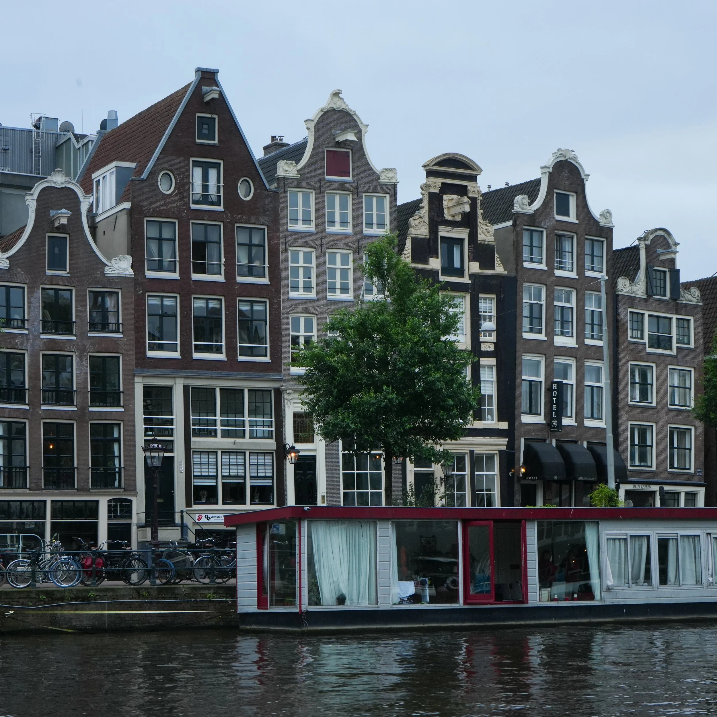 White Flowers 05.13.24-52.jpg