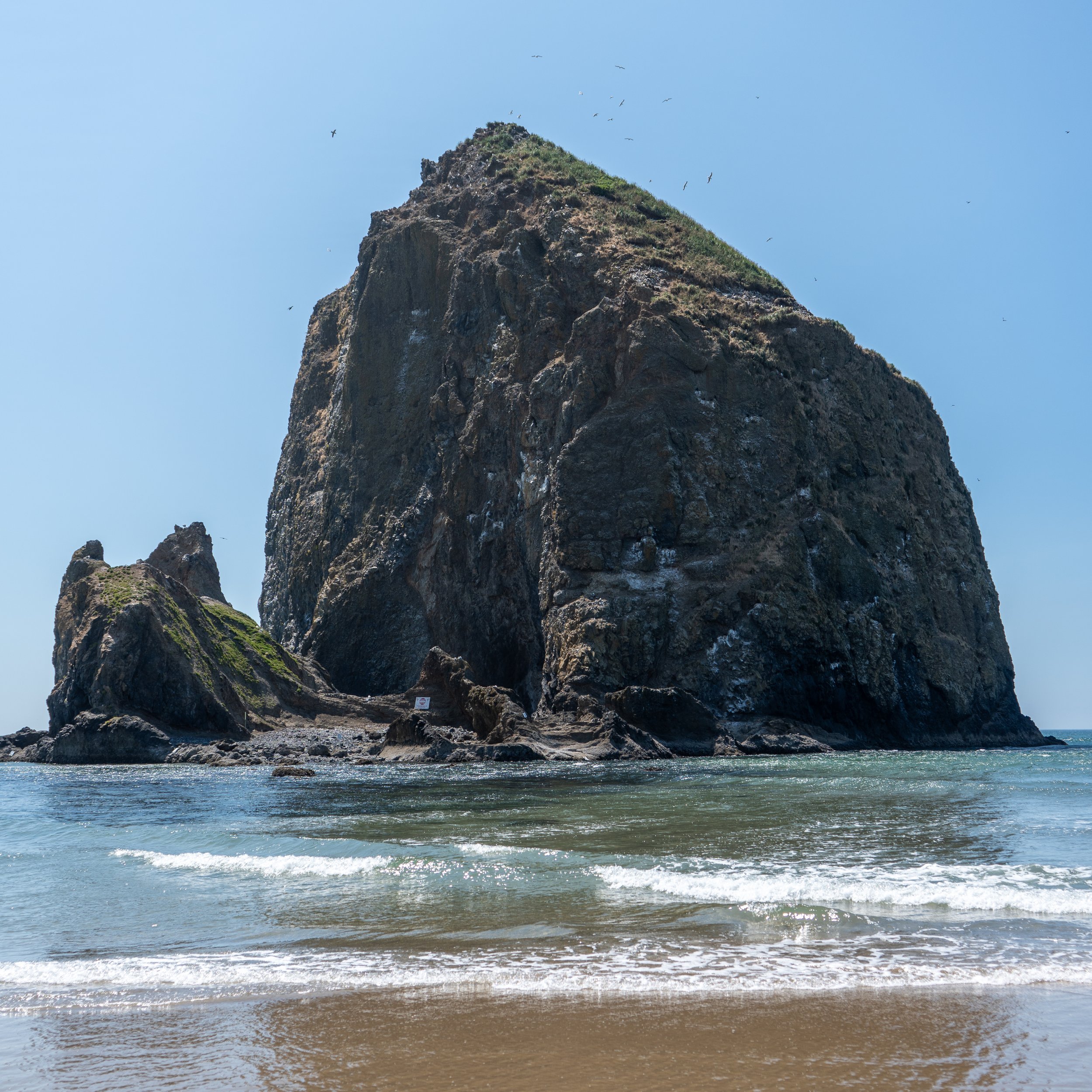 White Flowers 05.13.24-128.jpg