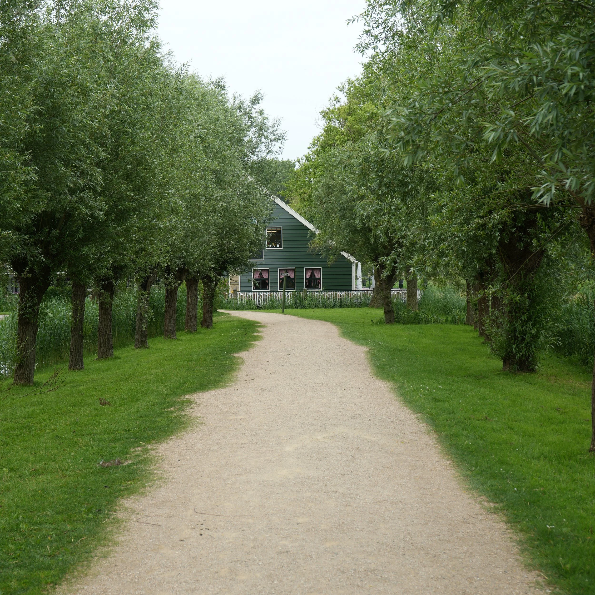 White Flowers 05.13.24-23.jpg