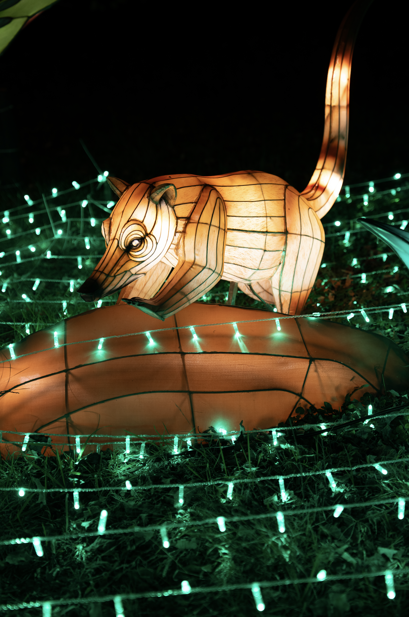 Screenshot 2024-12-01 at 7.12.57 PM.png