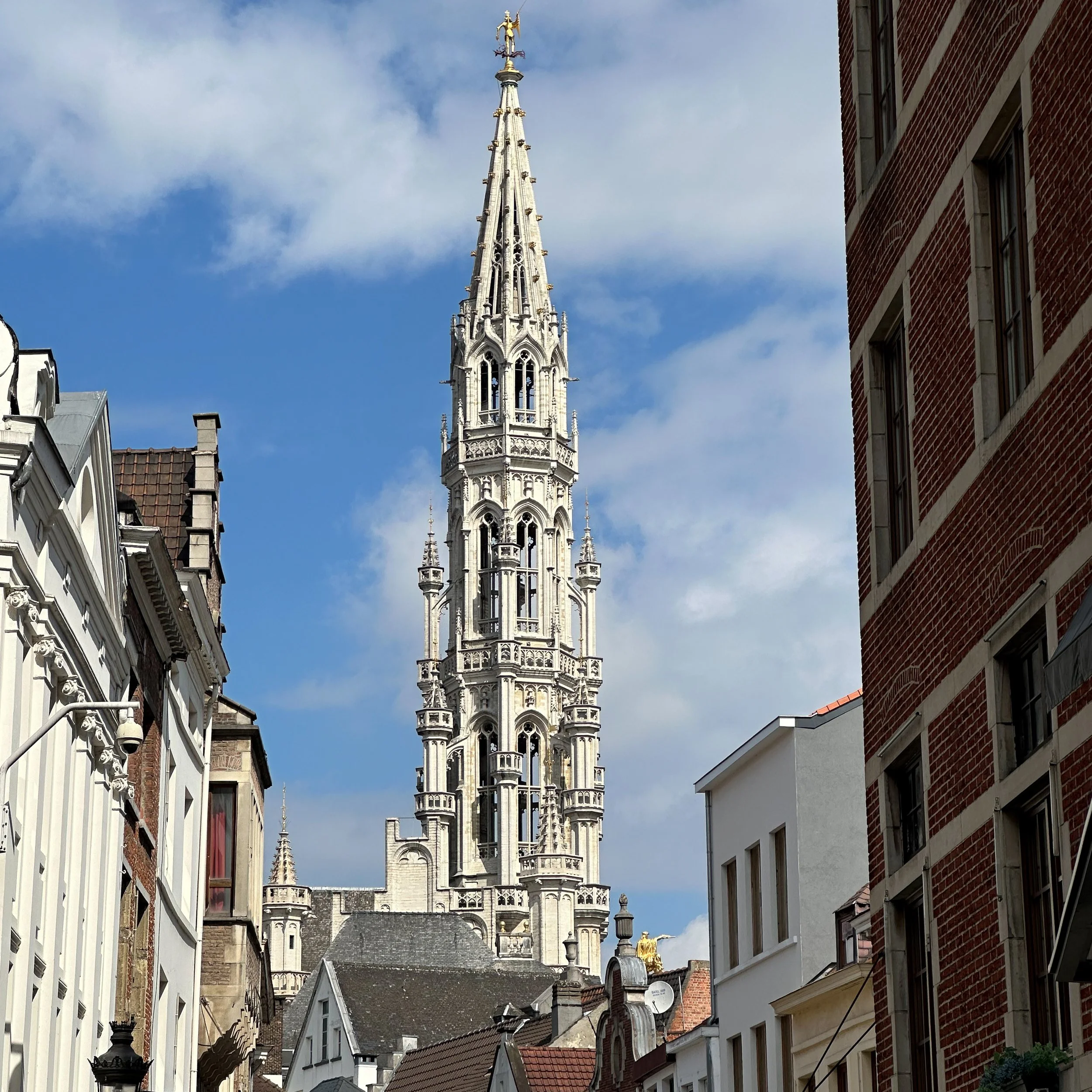 White Flowers 05.13.24-62.jpg