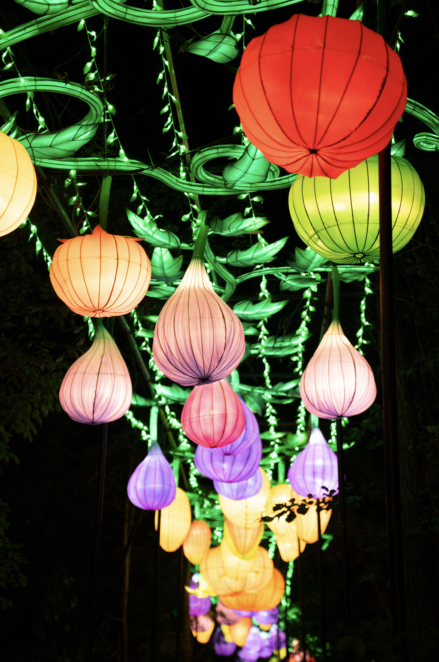 Screenshot 2024-12-01 at 7.15.59 PM.png