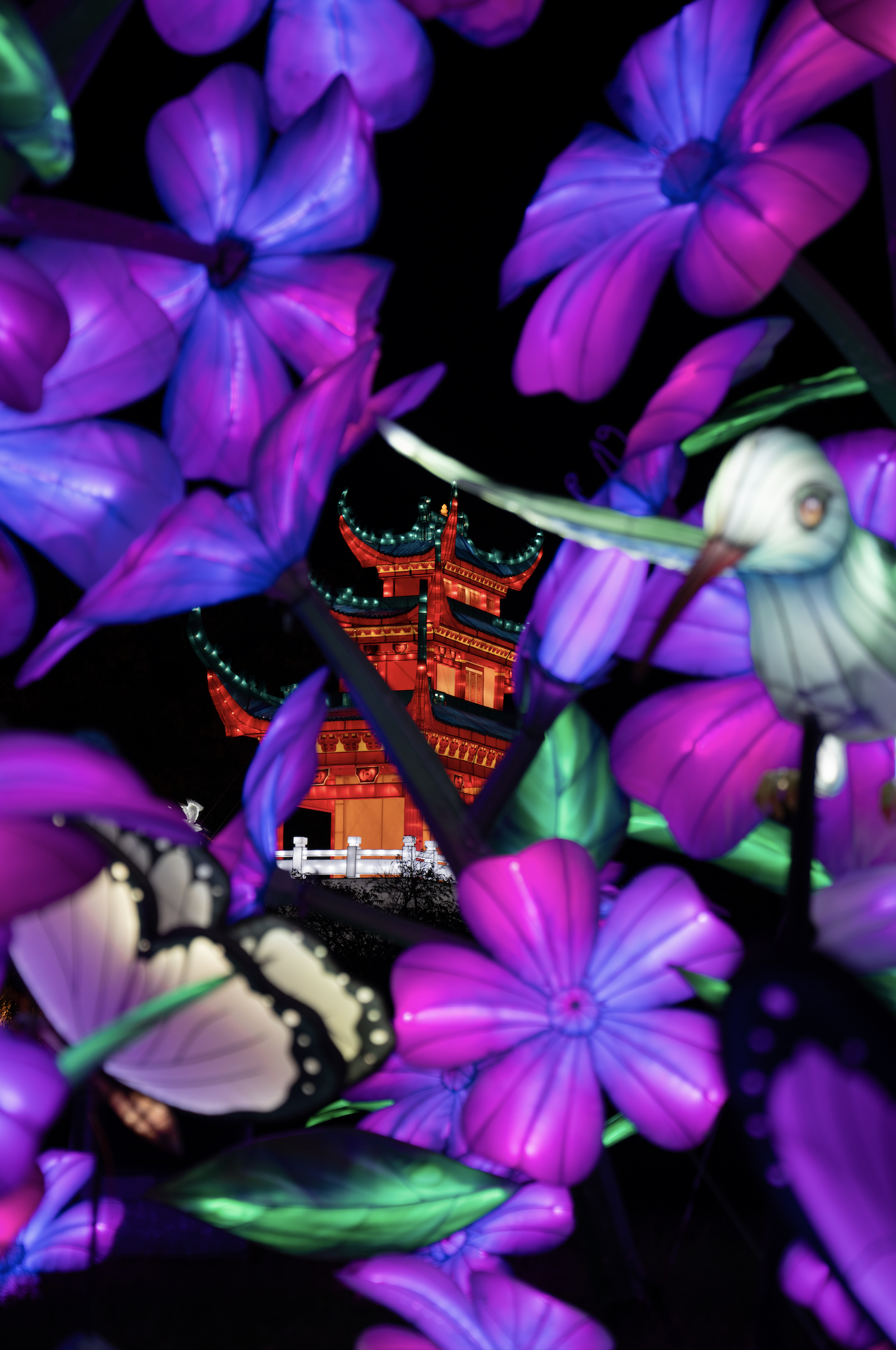 Screenshot 2024-12-01 at 7.16.39 PM.png