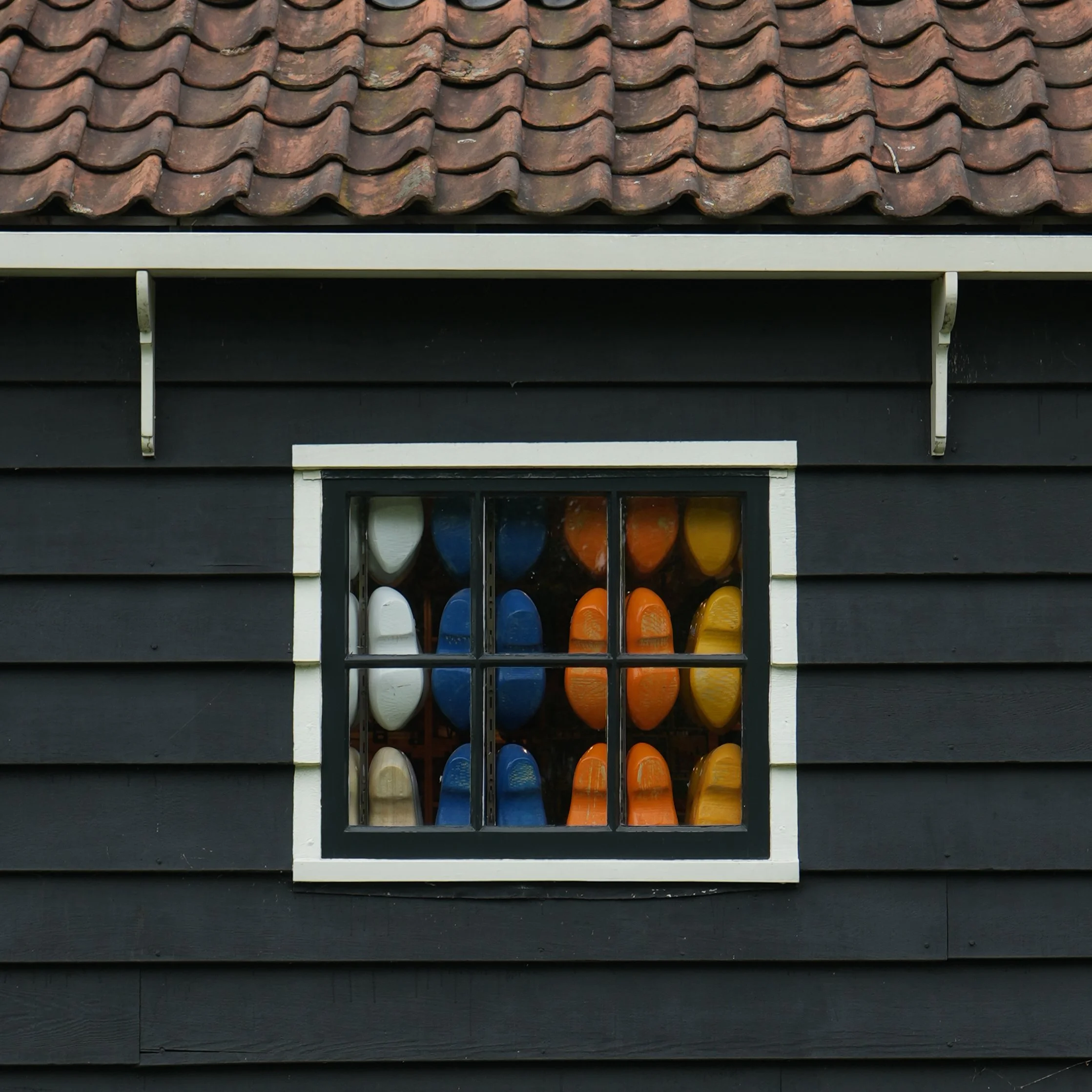 White Flowers 05.13.24-31.jpg