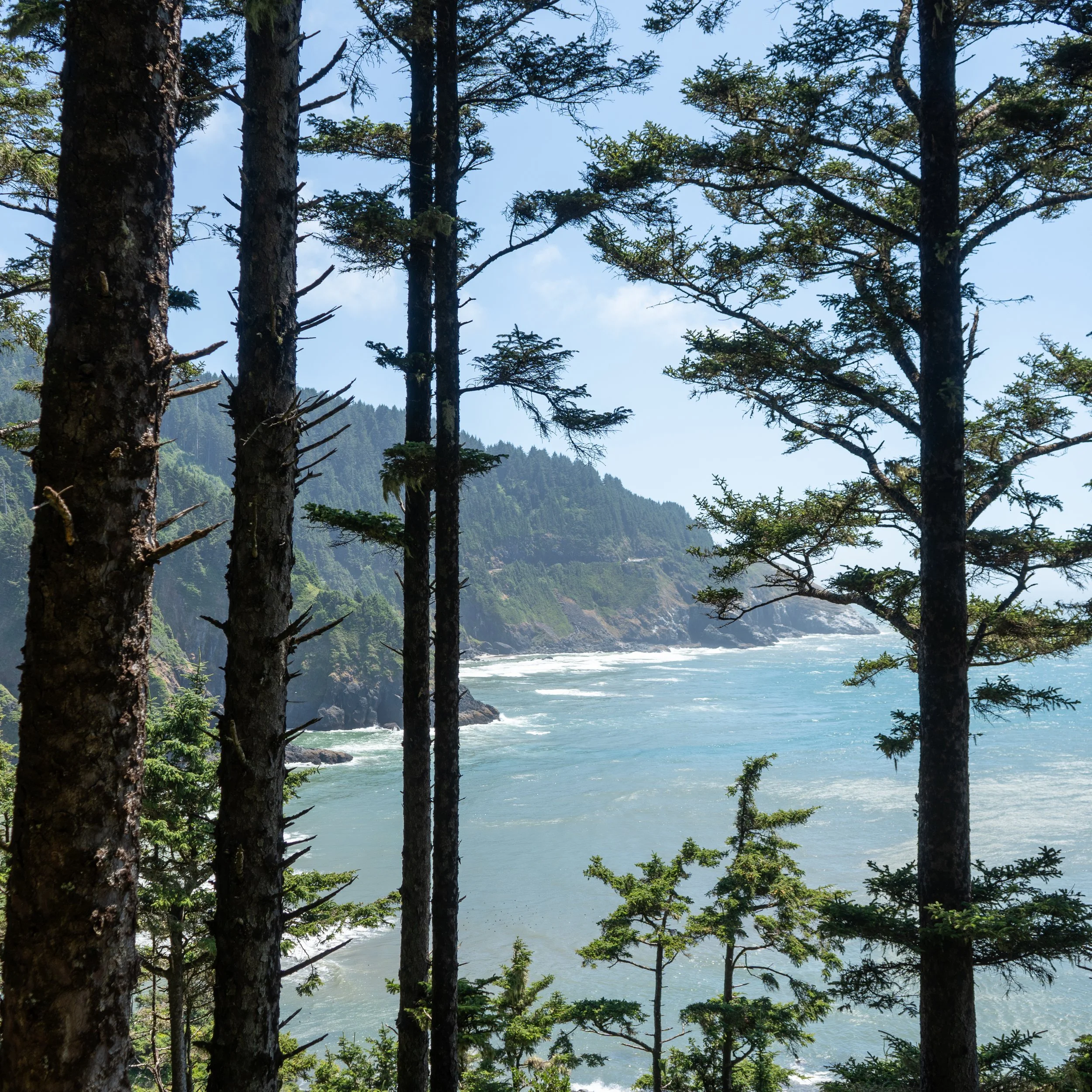 Heceta Head-11.jpg