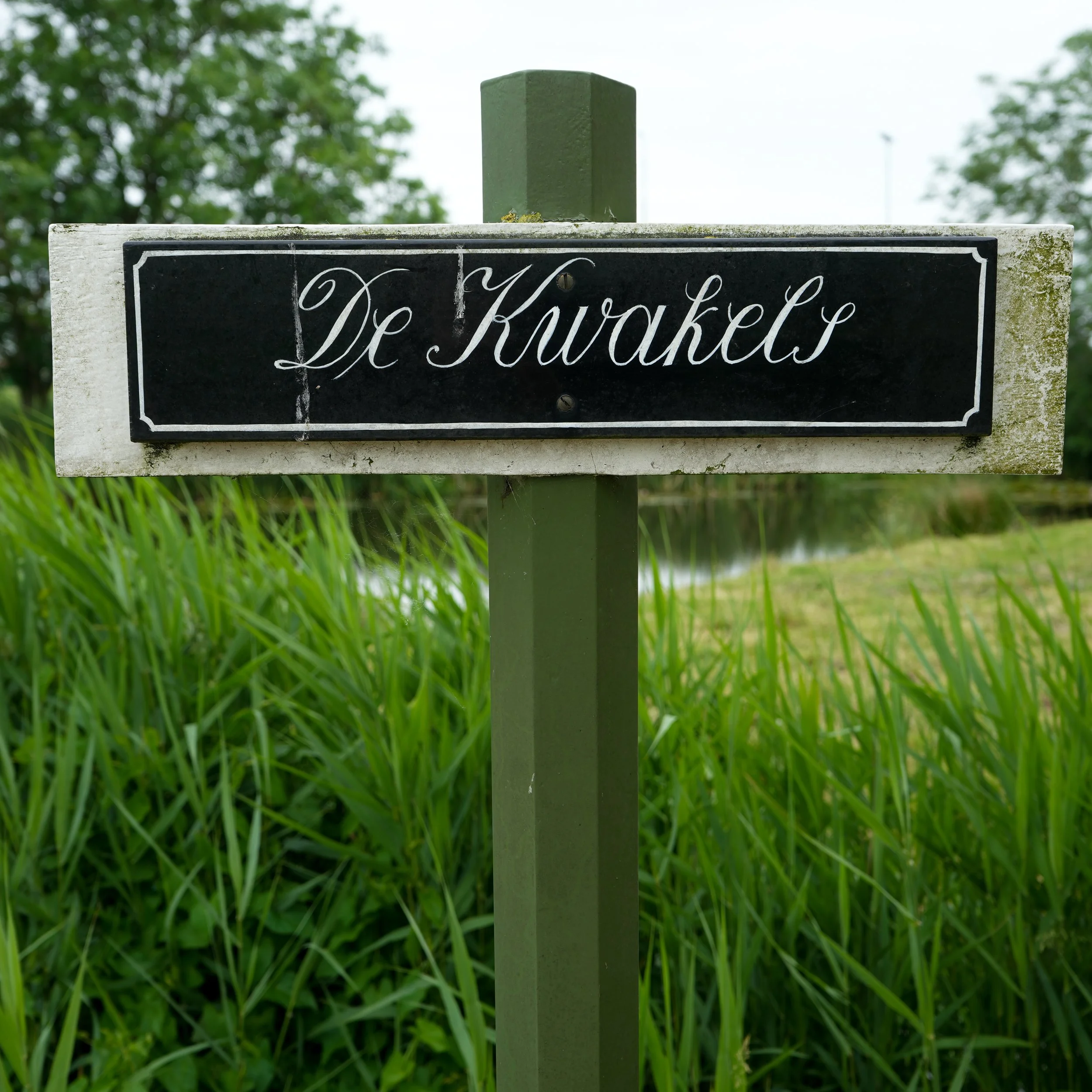 White Flowers 05.13.24-24.jpg