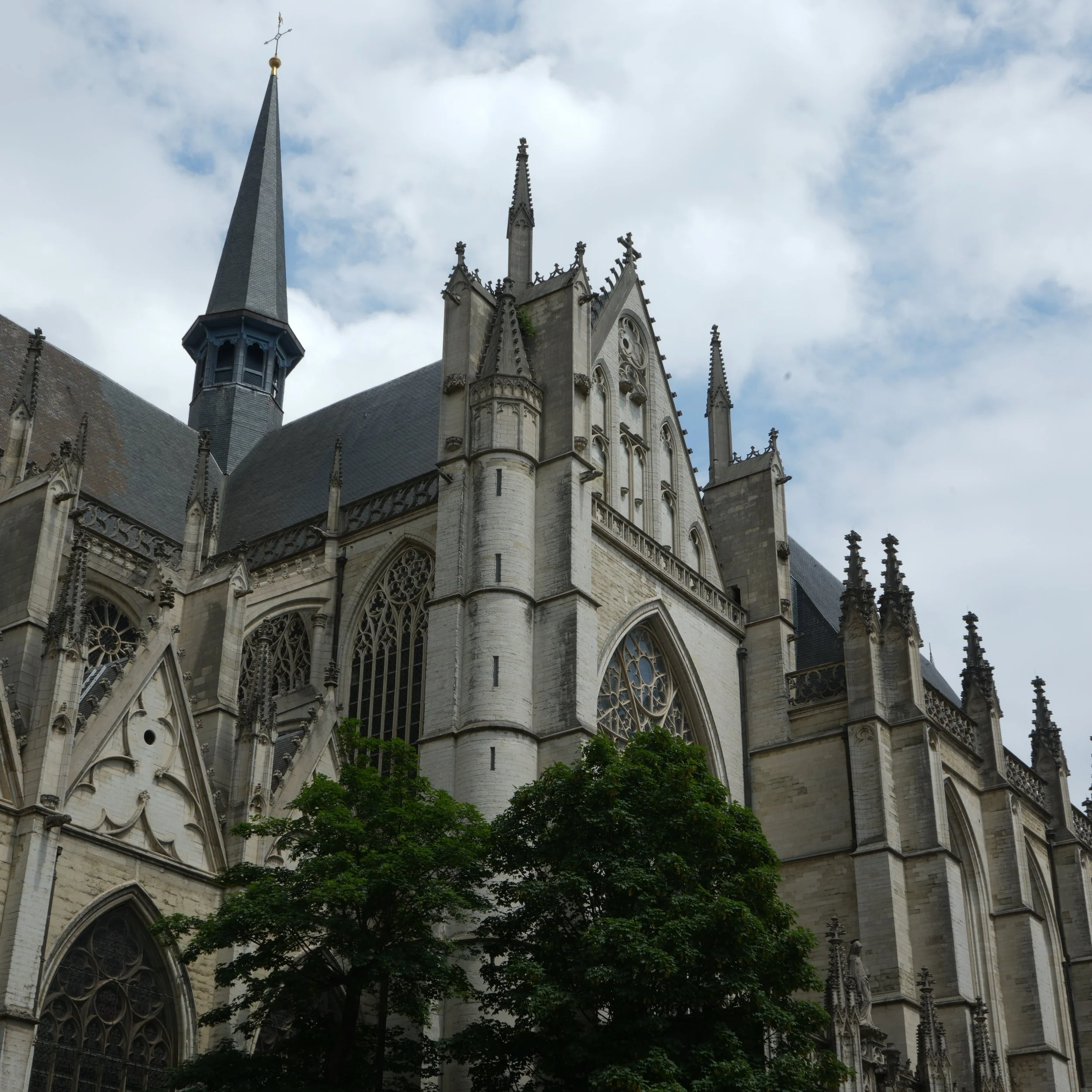 White Flowers 05.13.24-61.jpg