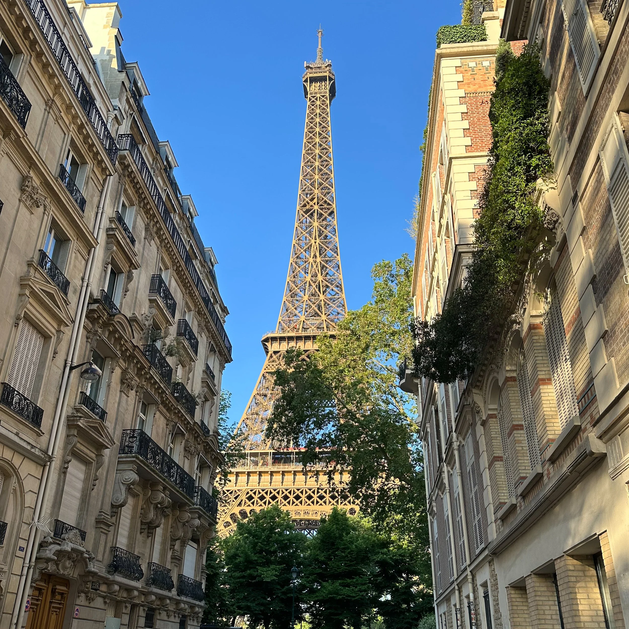 White Flowers 05.13.24-89.jpg