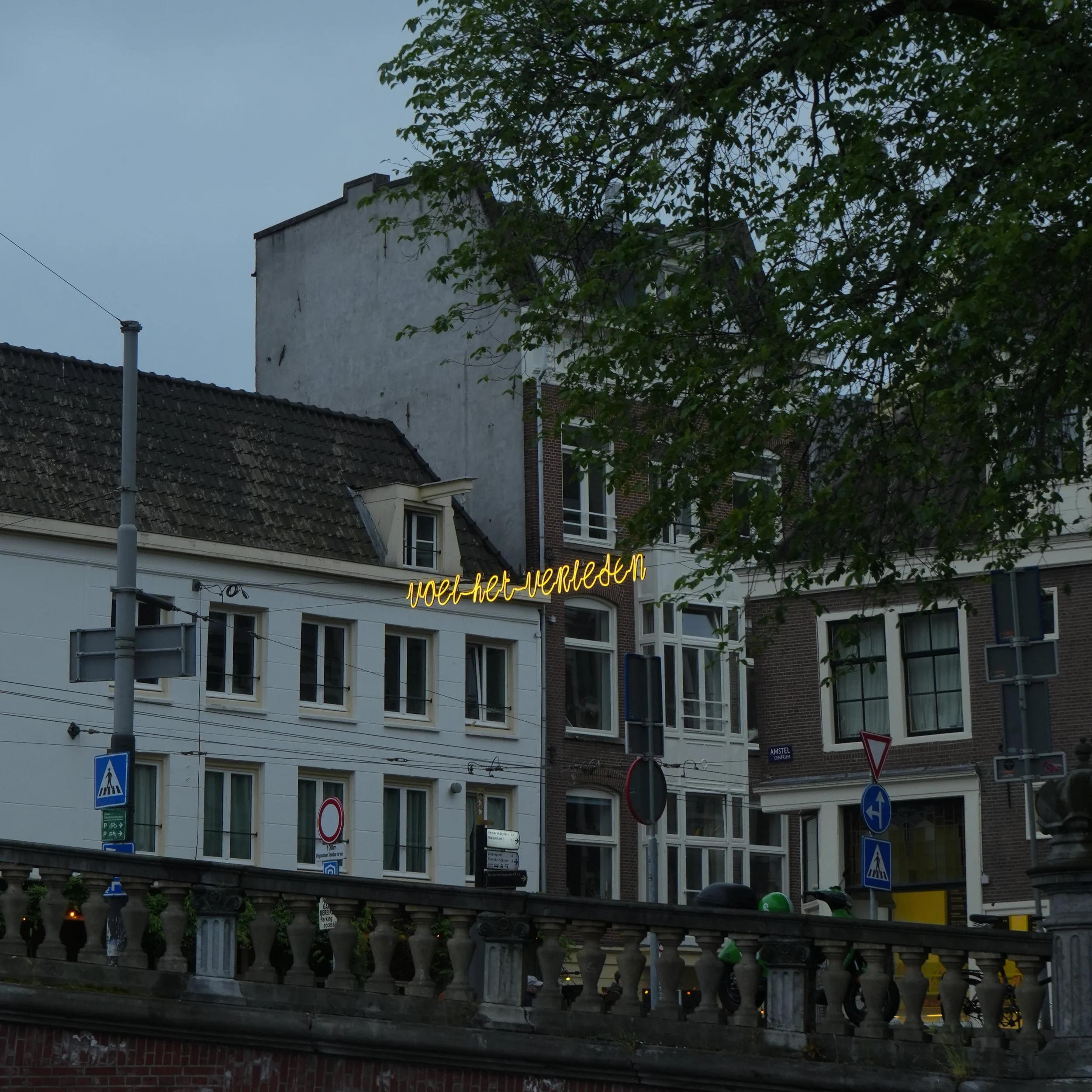 White Flowers 05.13.24-50.jpg