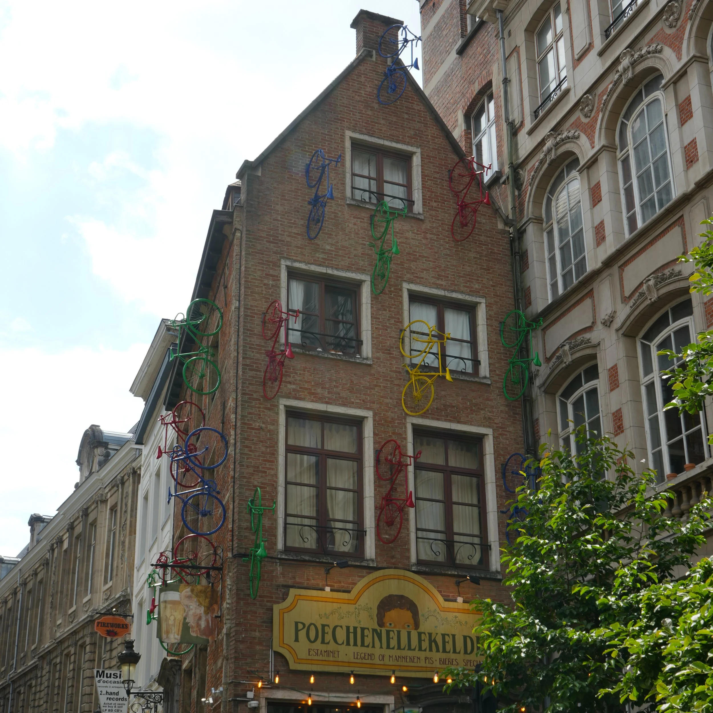 White Flowers 05.13.24-72.jpg