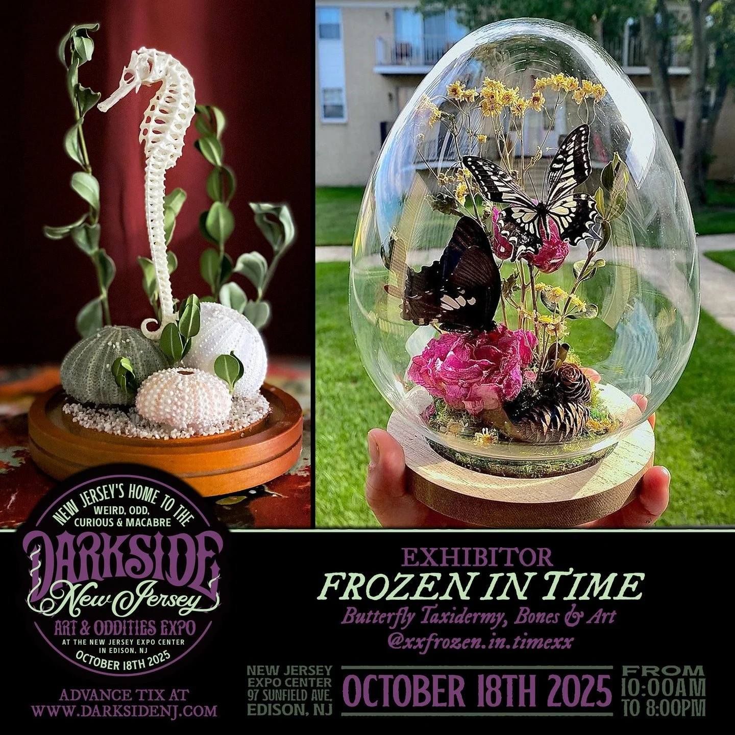 ⚰️🌑 THE DARKNESS DEEPENS W&hellip;/ MORE VENDORS OF THE MACABRE 🌑⚰️

Ten more vendors have stepped into the shadows ready to summon their strange, sacred, and sinister wares at Darkside NJ on October 18th.

MEET YOUR NEXT OBSESSIONS:
@xxfrozen.in.t