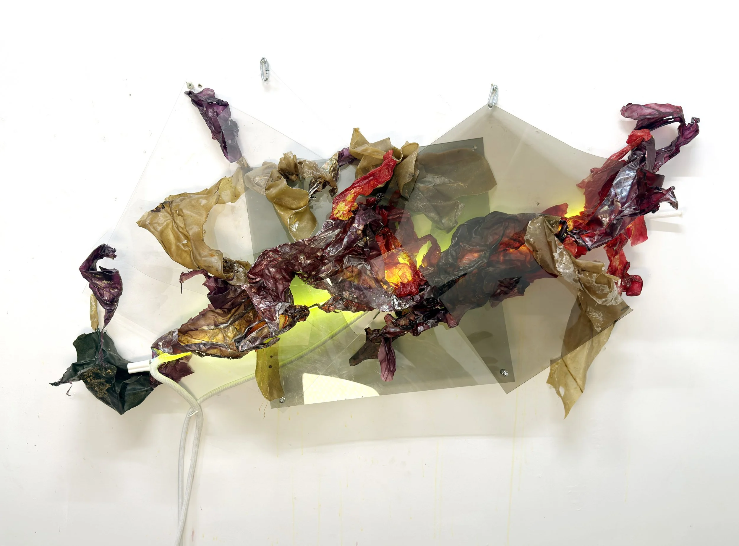 Consanguinity, 2026, Translucent leather, synthetic sausage casings, dye, pigment, cross-stitch sutures, neon, 65” x 29” x 30