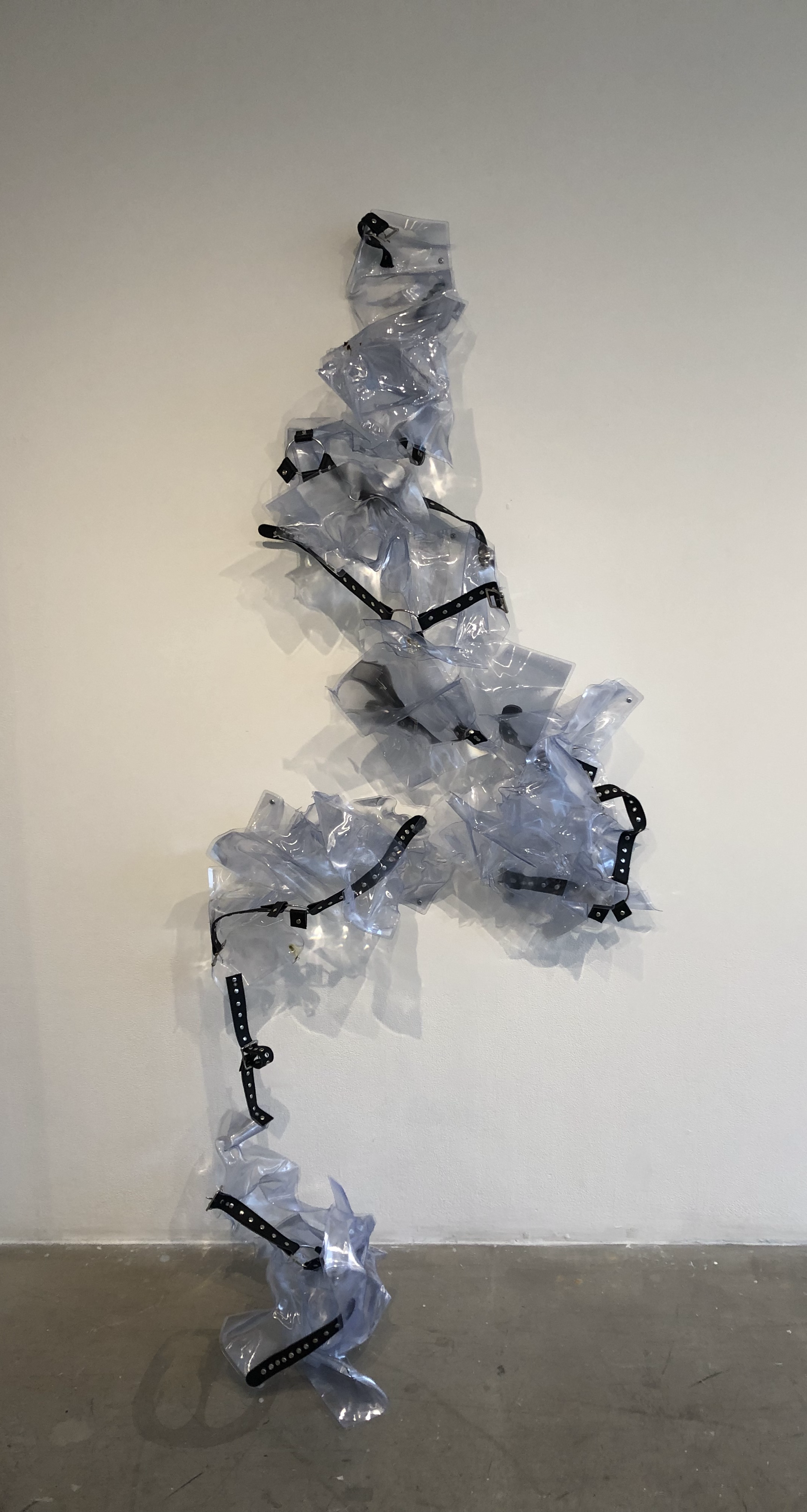 Fresnel Leather Pleasure, 2019, fresnel lenses, leather harnesses, 60" x 42" x 16"