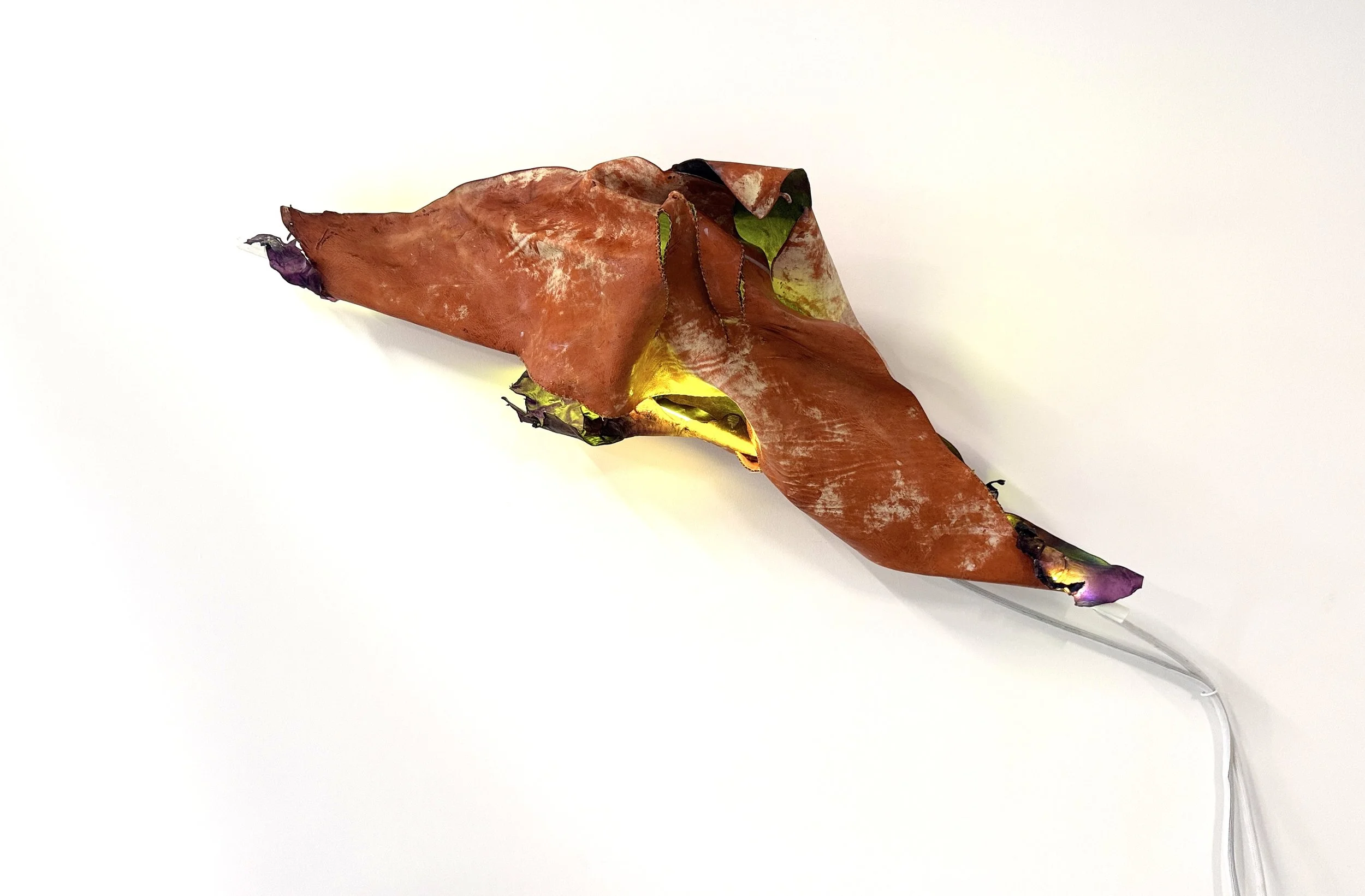 Failed Amphibious Creature, 2026, heat-soaked and molded weather leather, translucent leather, neon, cross-stitch sutures, 29" x 40" x 18"