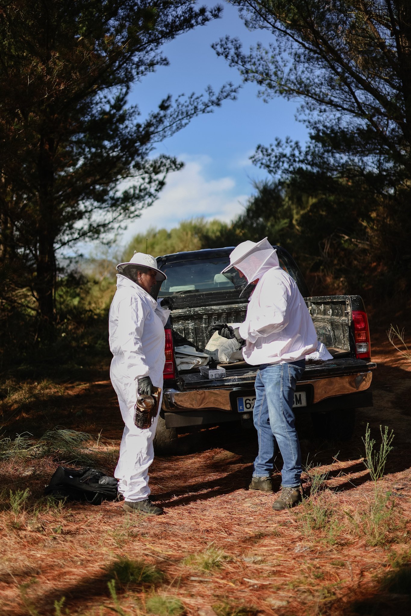 Emprendimiento rural