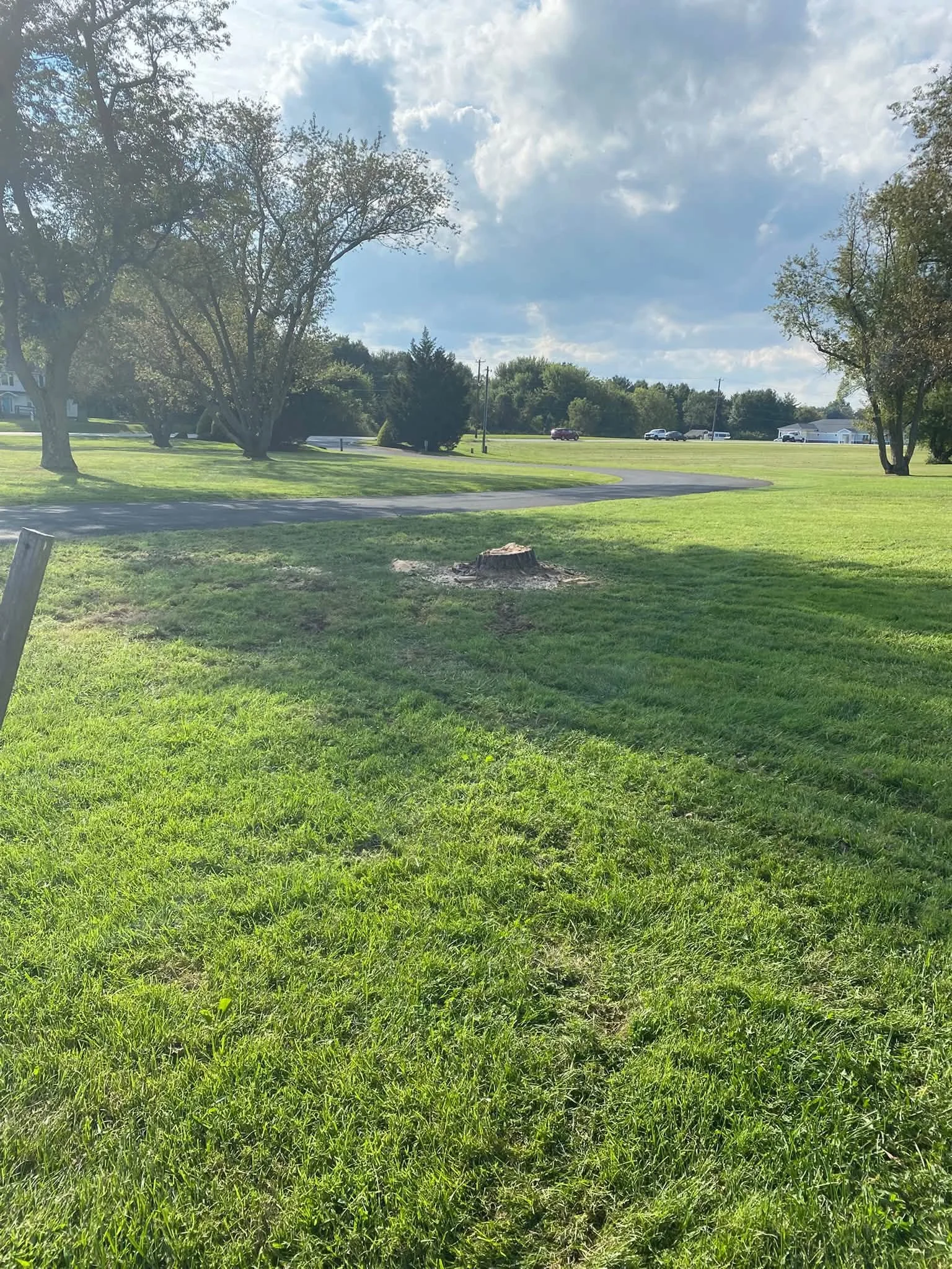 10 Benefits of Removing Tree Stumps Before Starting a Landscaping Project