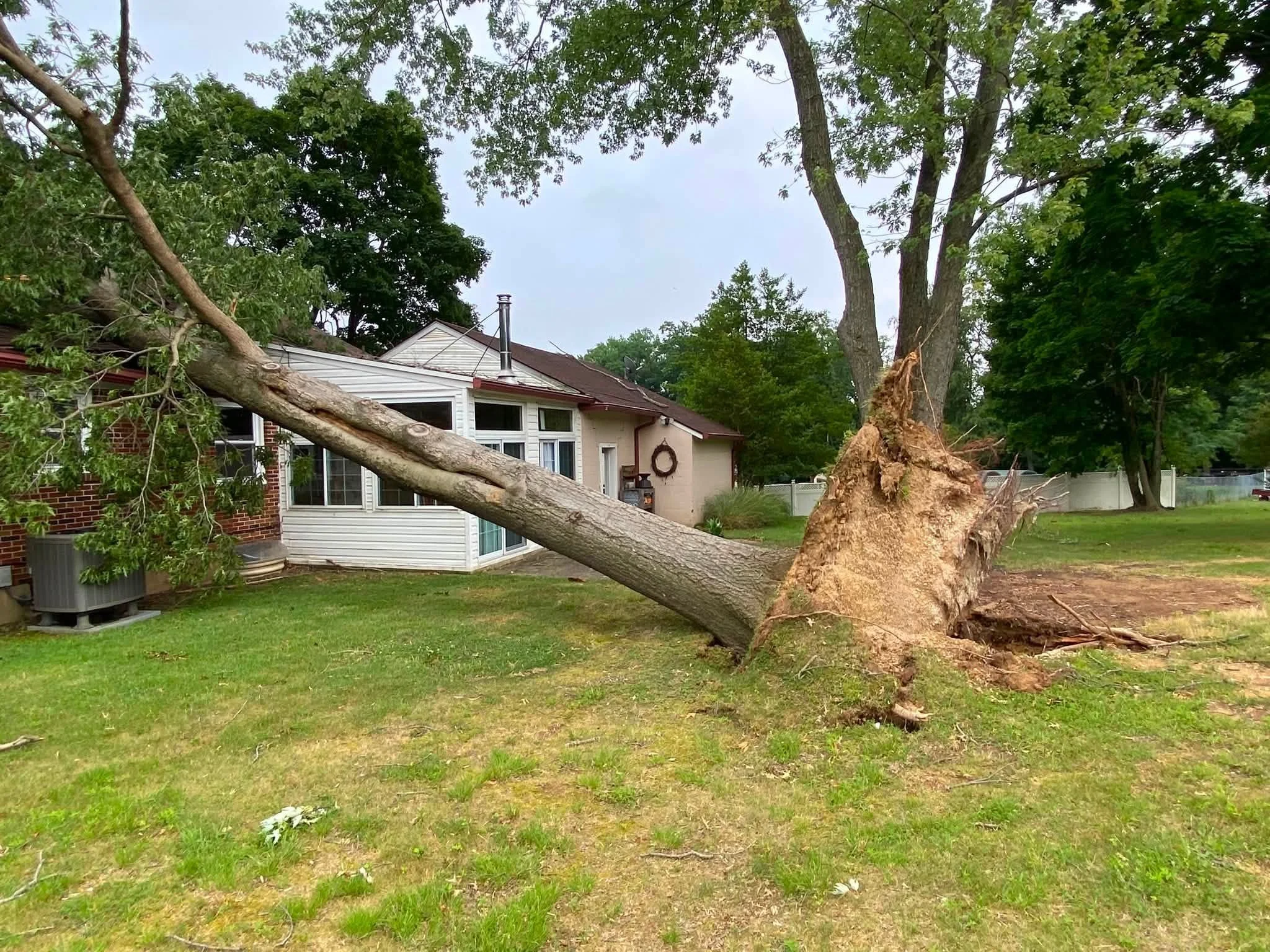 8 Steps Harford County Homeowners Should Take When a Tree Falls After a Storm