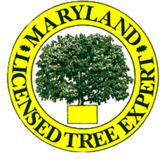 MD Licensed Logo
