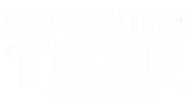 FINE CUT &amp; TRIM
