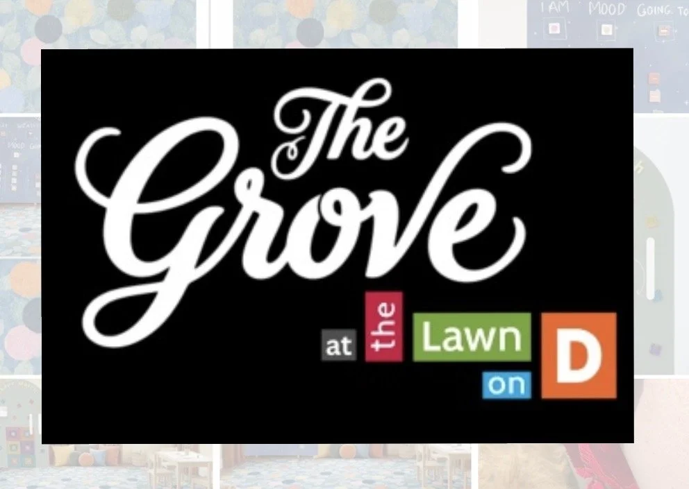 THE GROVE at the lawn on D, Boston Ma