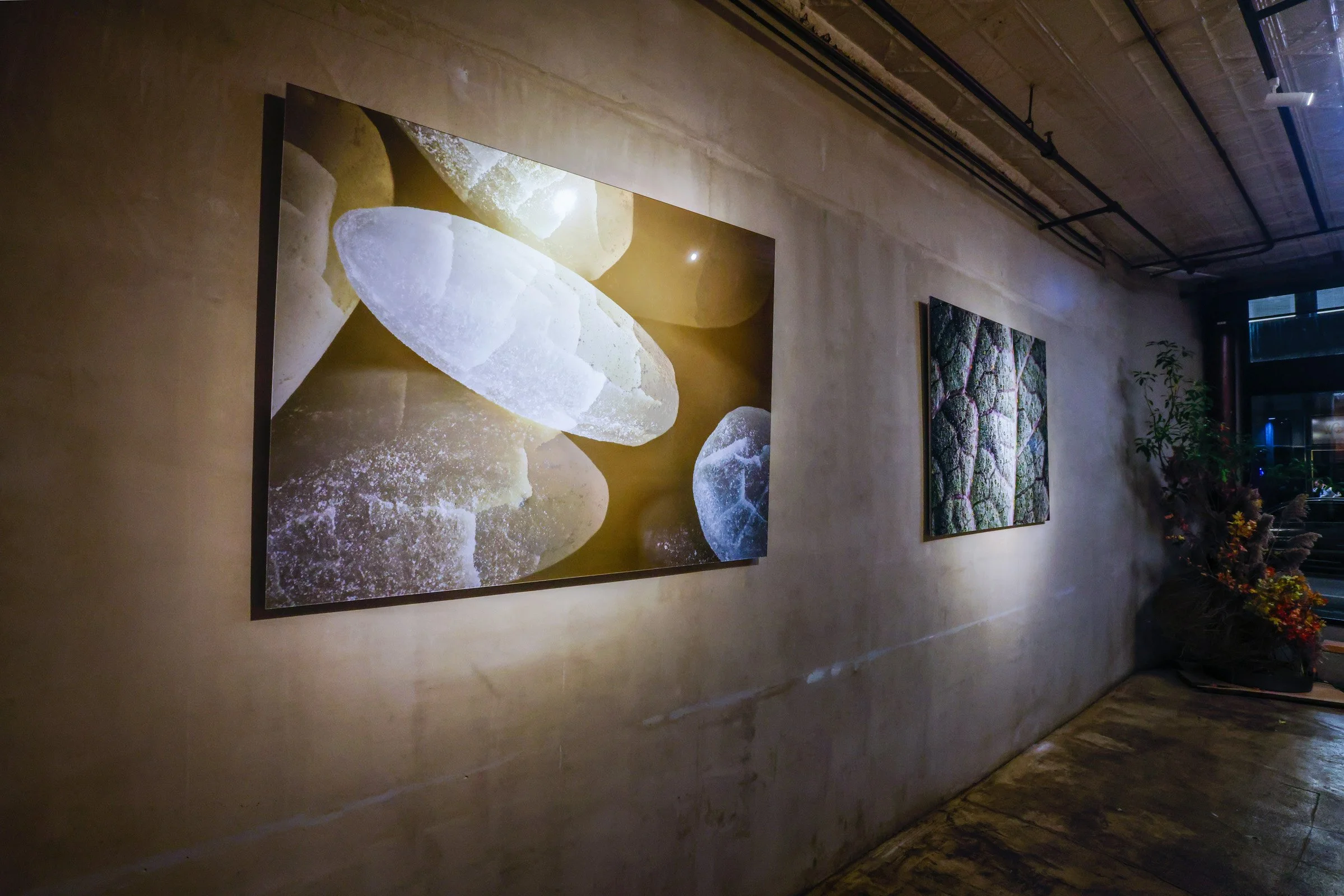 Intention and Detail 5.jpg