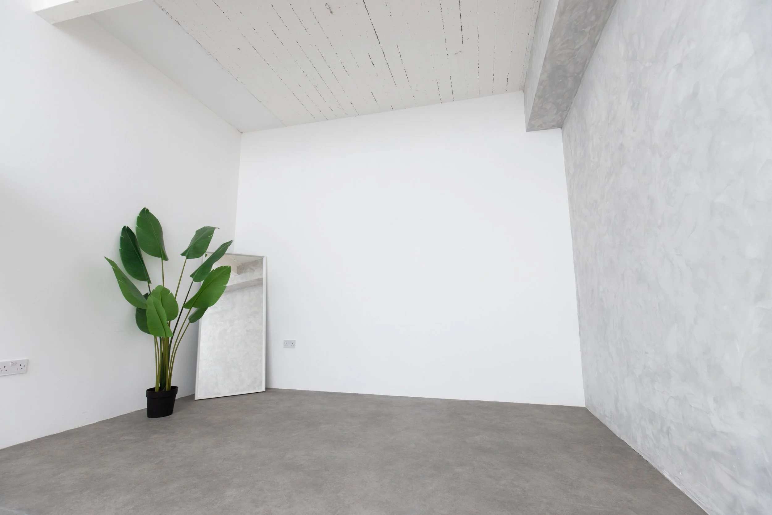 Minimalist corner of a room with white walls, a gray textured ceiling, a mirror leaning against the wall, a large potted green plant, and a power outlet on the wall.