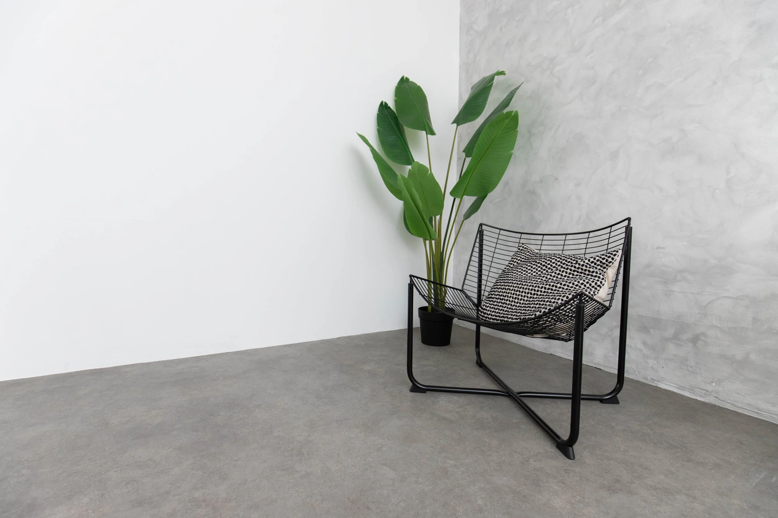 A minimalist indoor space with a black metal wire chair holding a patterned cushion, a tall potted plant with large green leaves, and a textured white wall in the background.