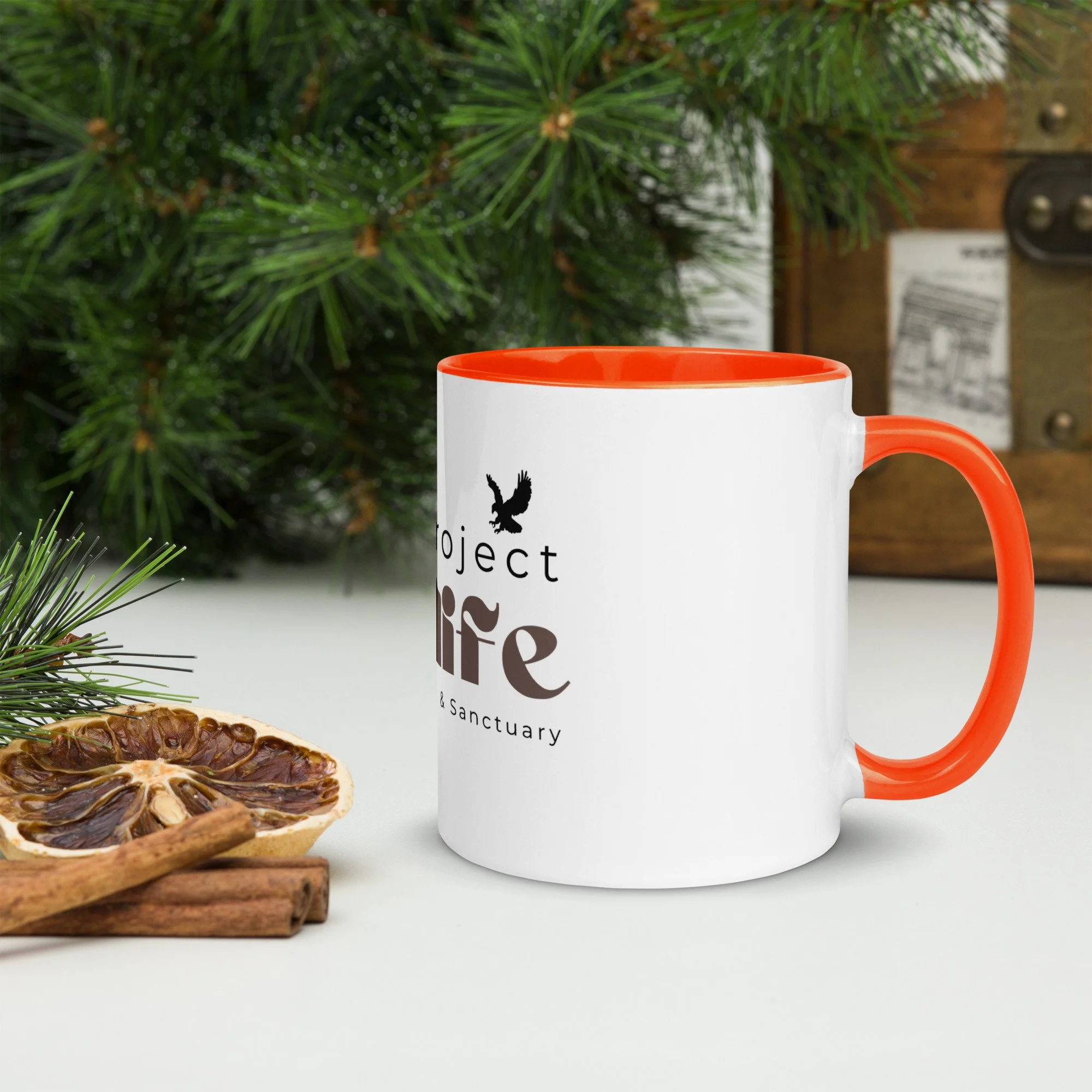 white-ceramic-mug-with-color-inside-orange-11-oz-right-67a91ba229d4d.jpg