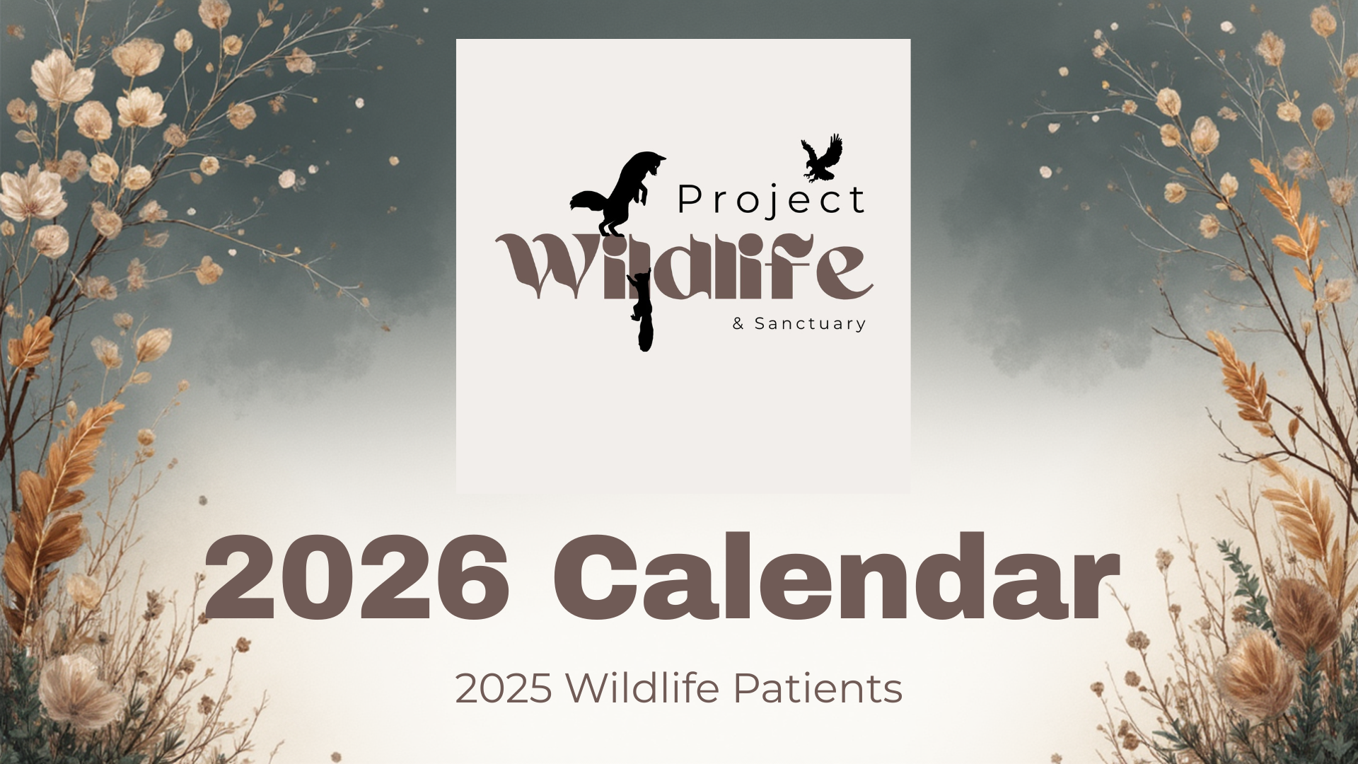 Project Wildlife Calendar.png