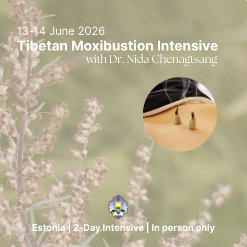 Tibetan Moxibustion Intensive 2026 (1).png