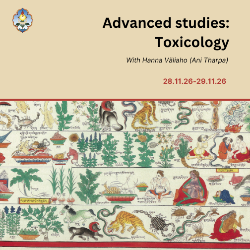 Advanced studies: Sowa Rigpa Toxicology with Ani Tharpa