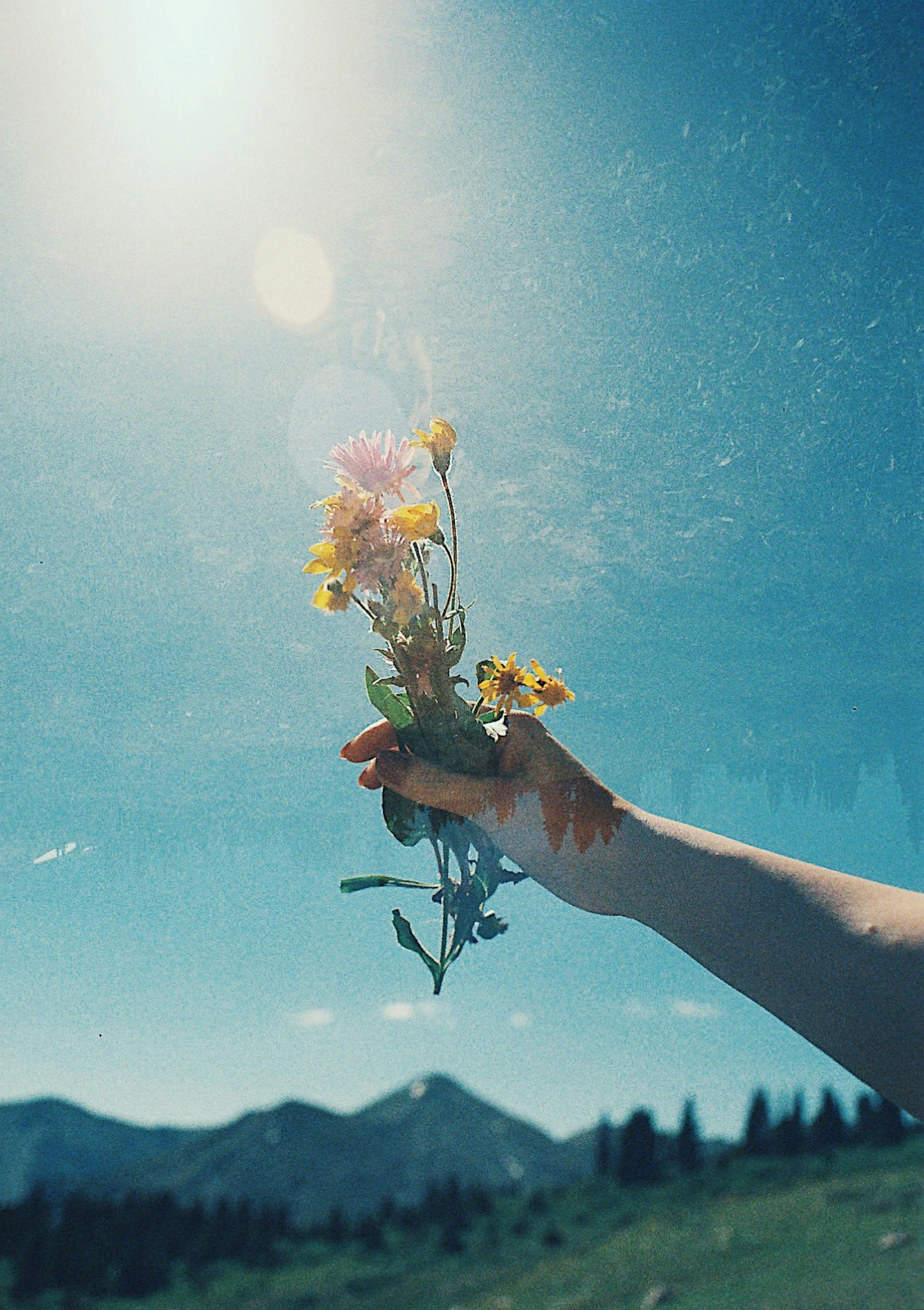 A person's hand holding a small bouquet of pink and yellow flowers against a clear blue sky with the sun shining brightly.