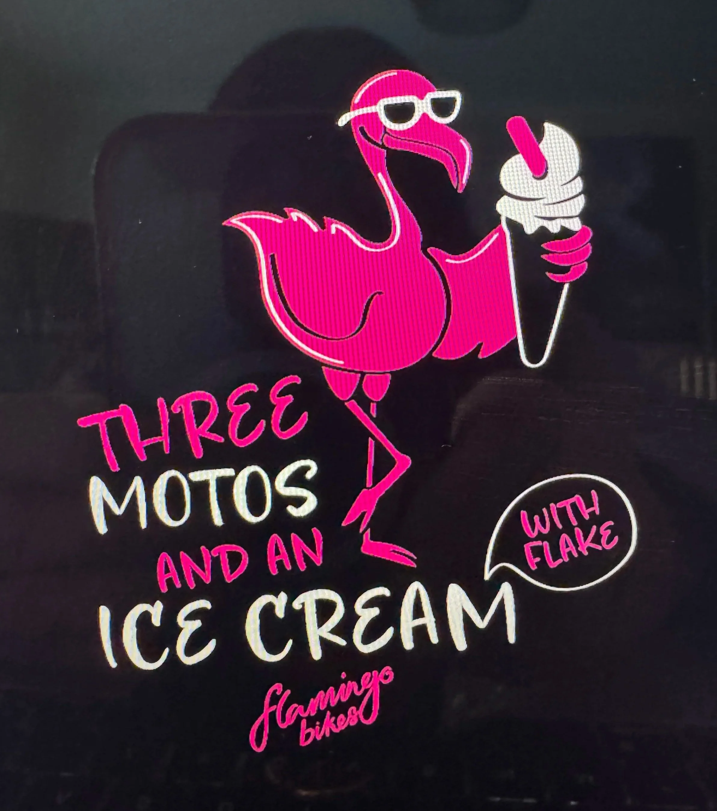 Flamingo with an Ice Cream