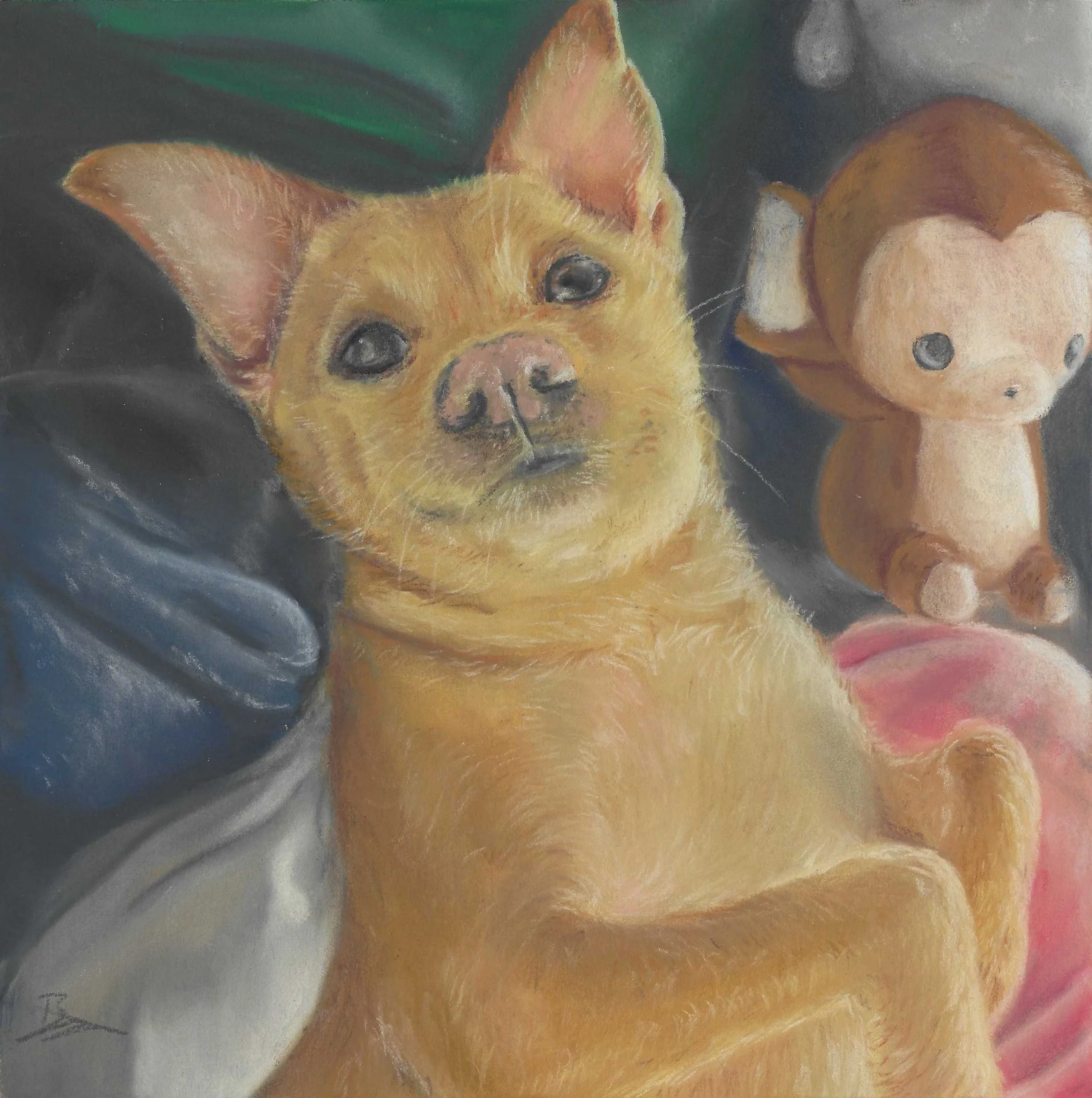 Freya, my dog, 8x8in Chalk Pastels on UArt Sanded Paper